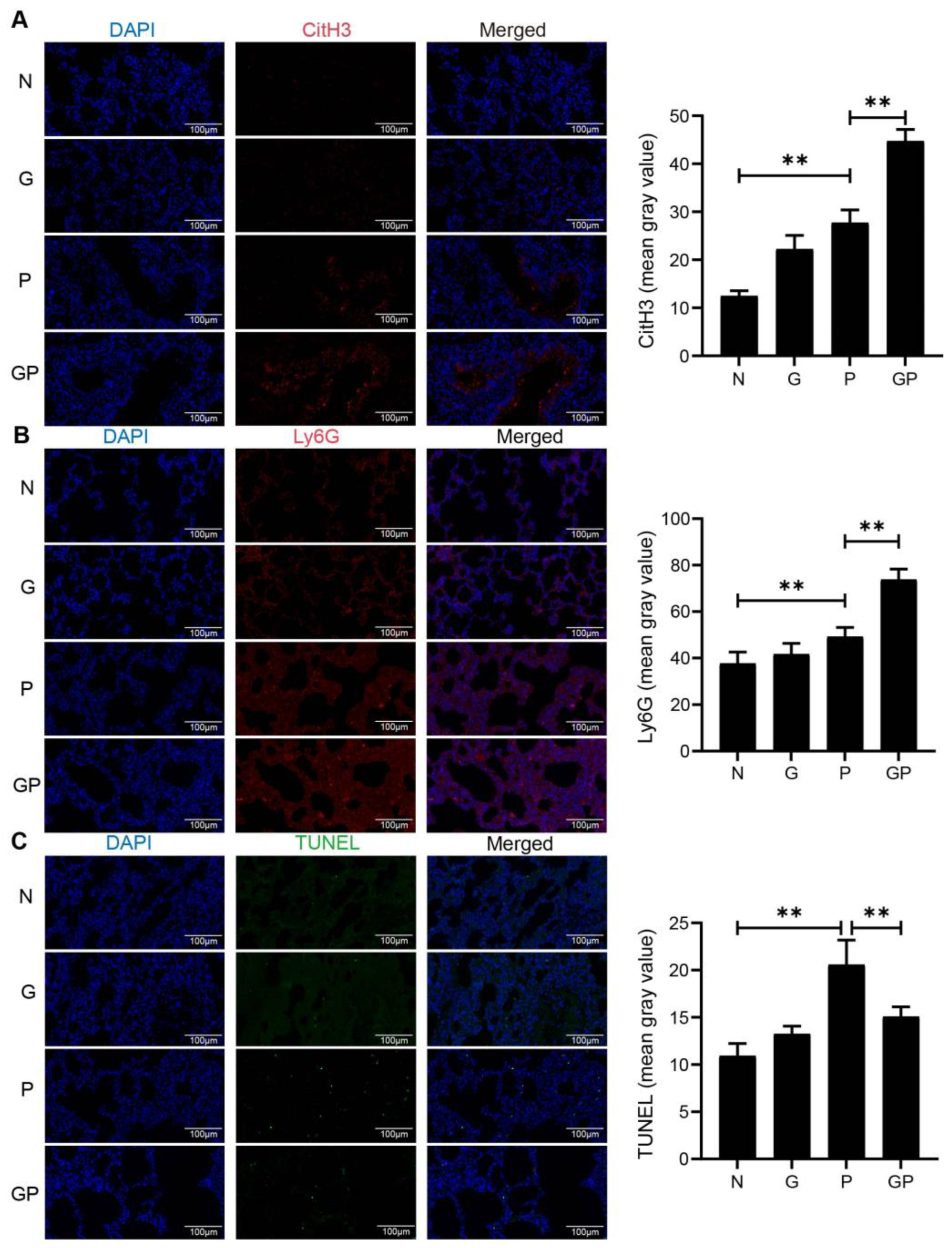 Nutrients 17 02242 g002 Nutrients 17 02242 g002