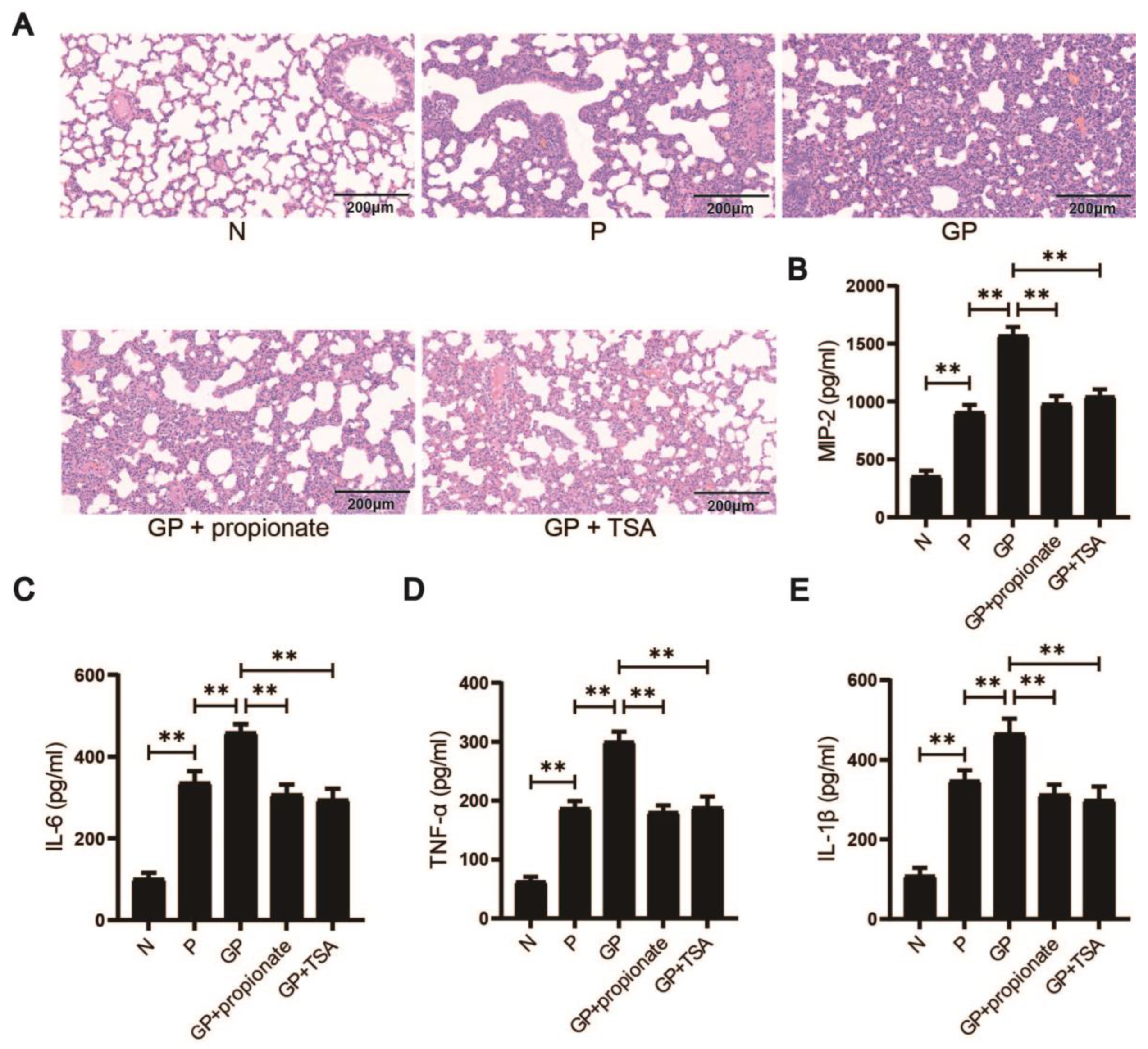 Nutrients 17 02242 g004 Nutrients 17 02242 g004