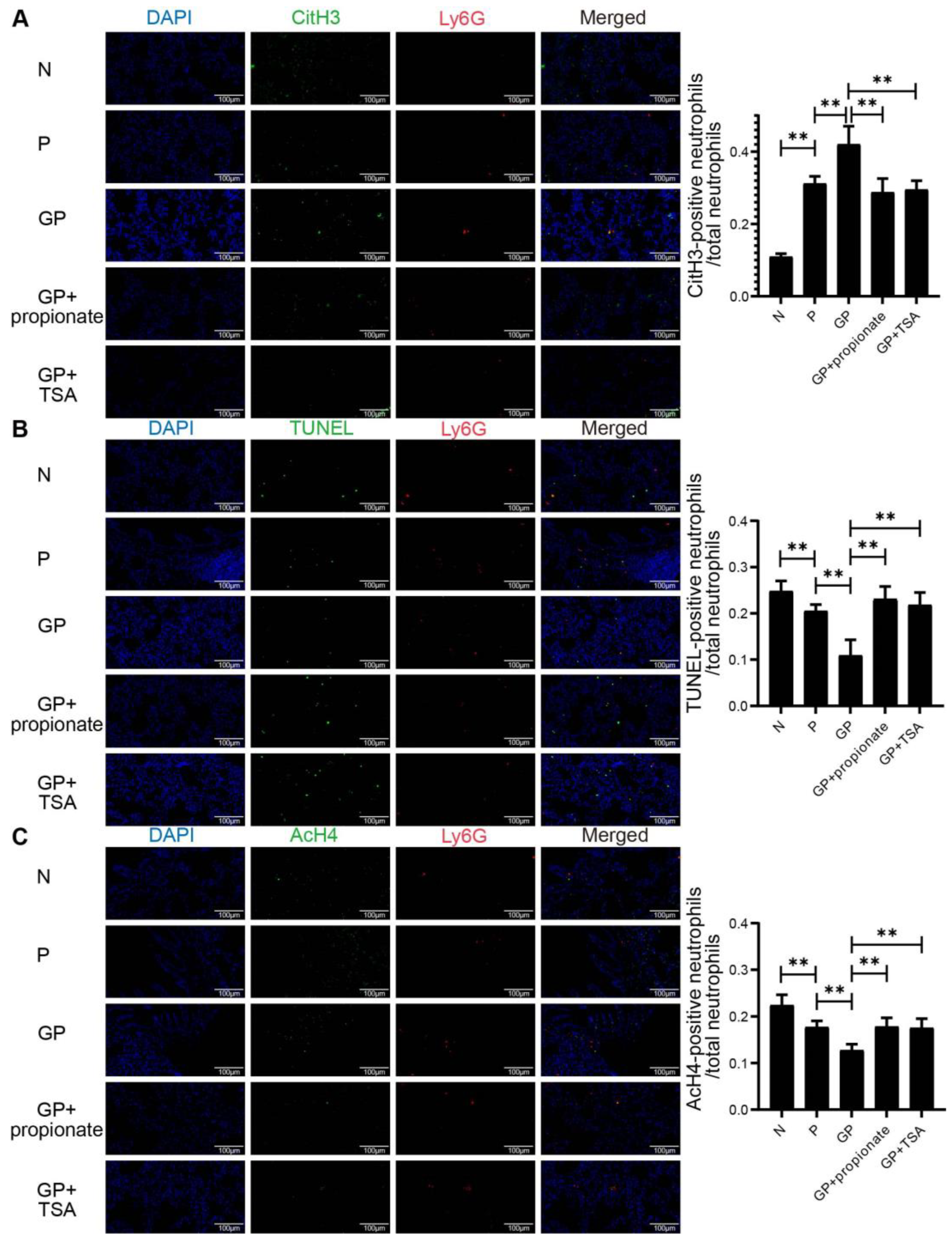 Nutrients 17 02242 g006 Nutrients 17 02242 g006