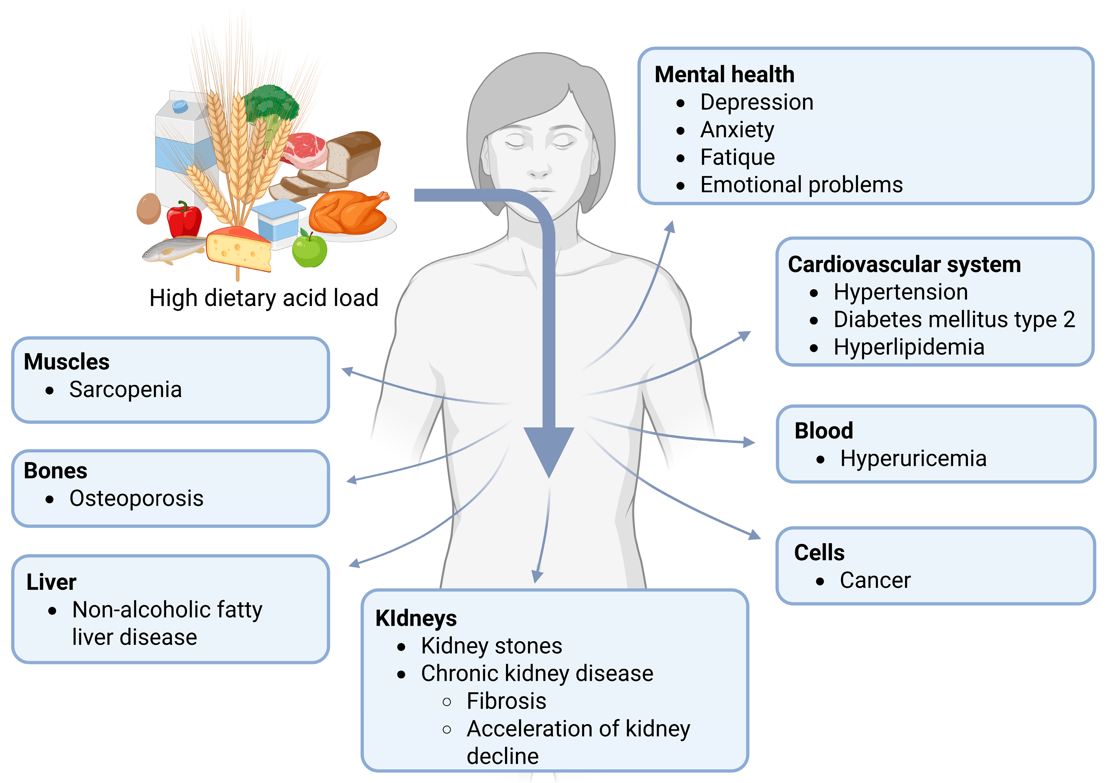 Nutrients 17 02291 g001