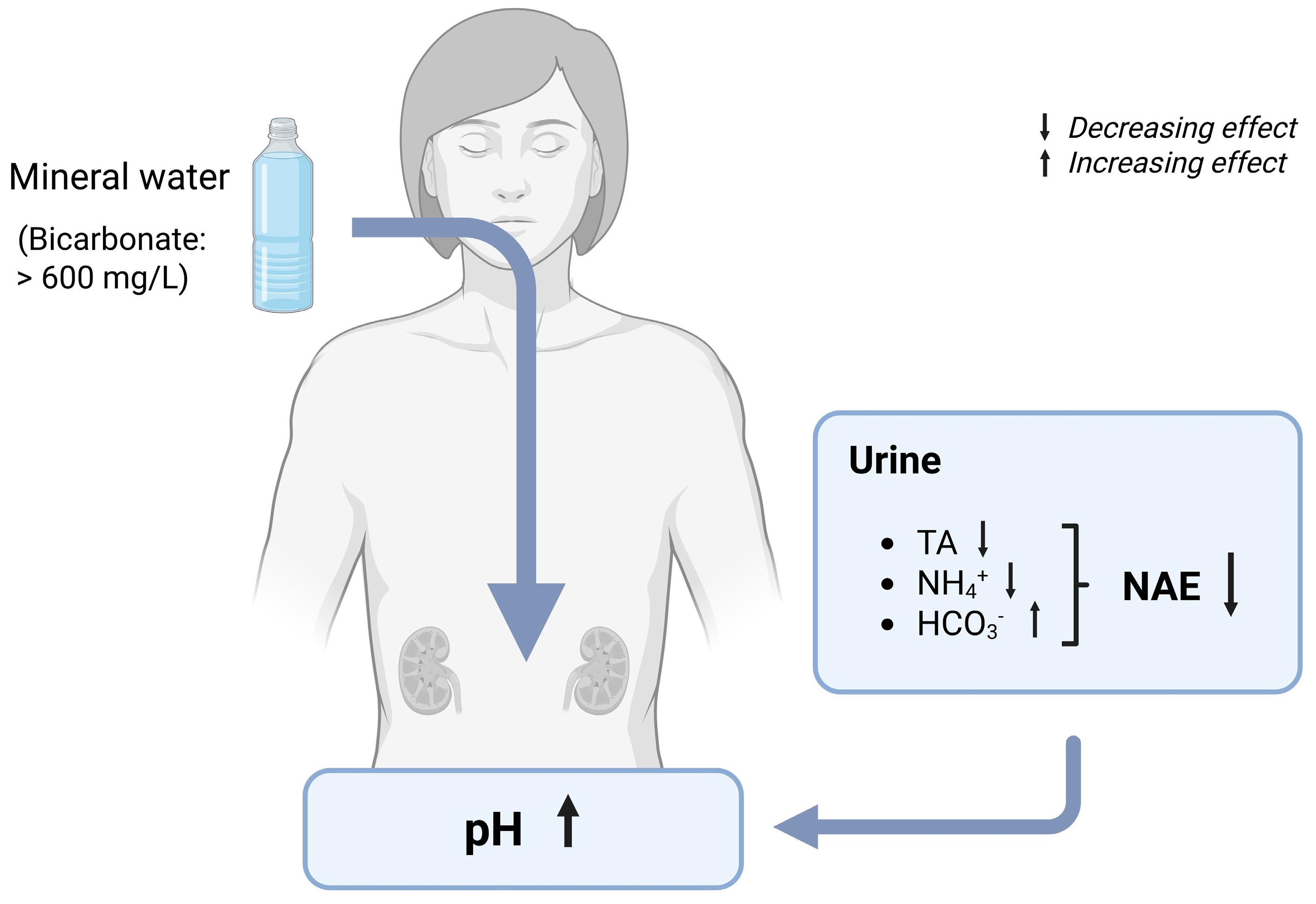 Nutrients 17 02291 g003