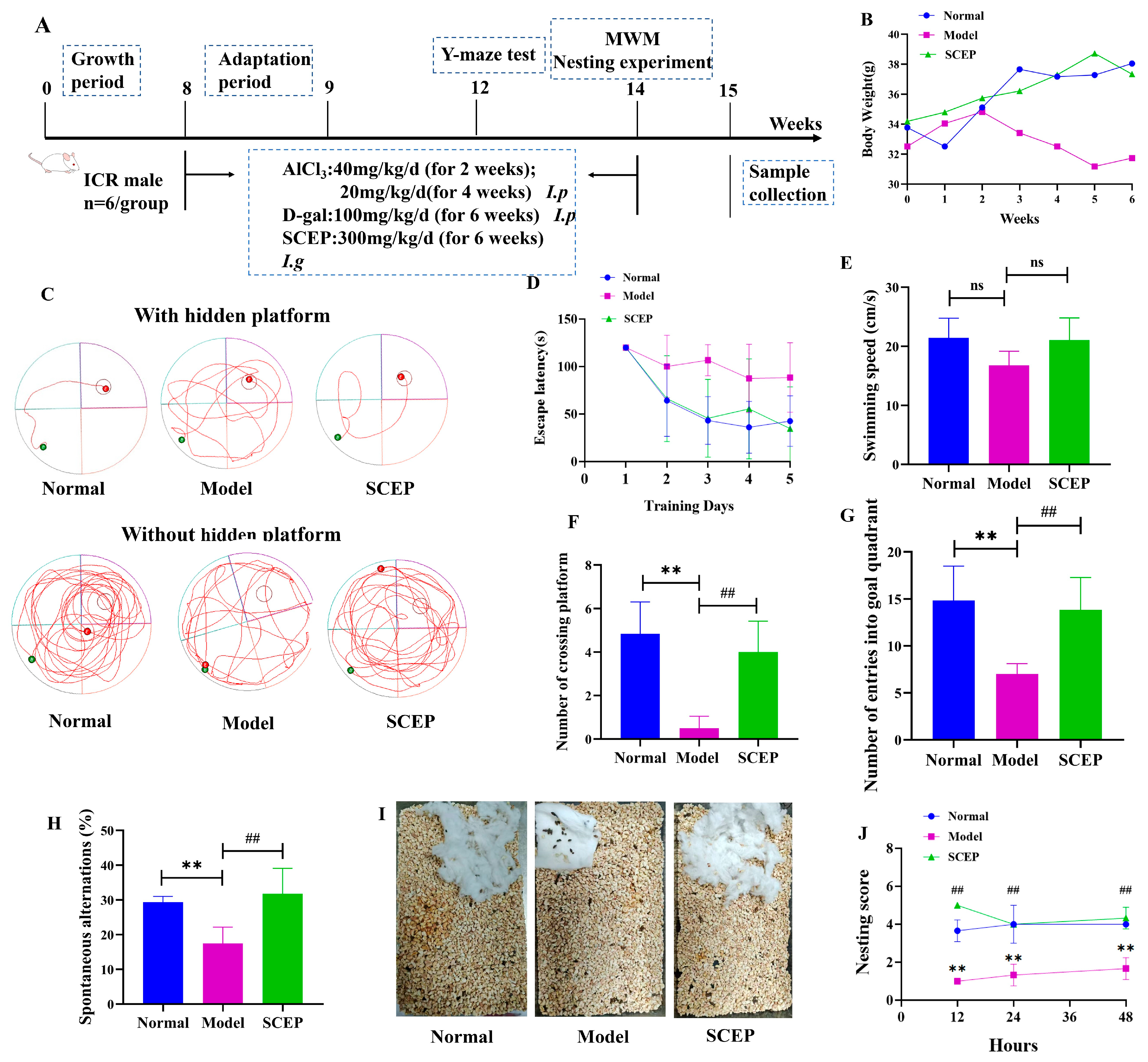 Nutrients 17 02312 g001