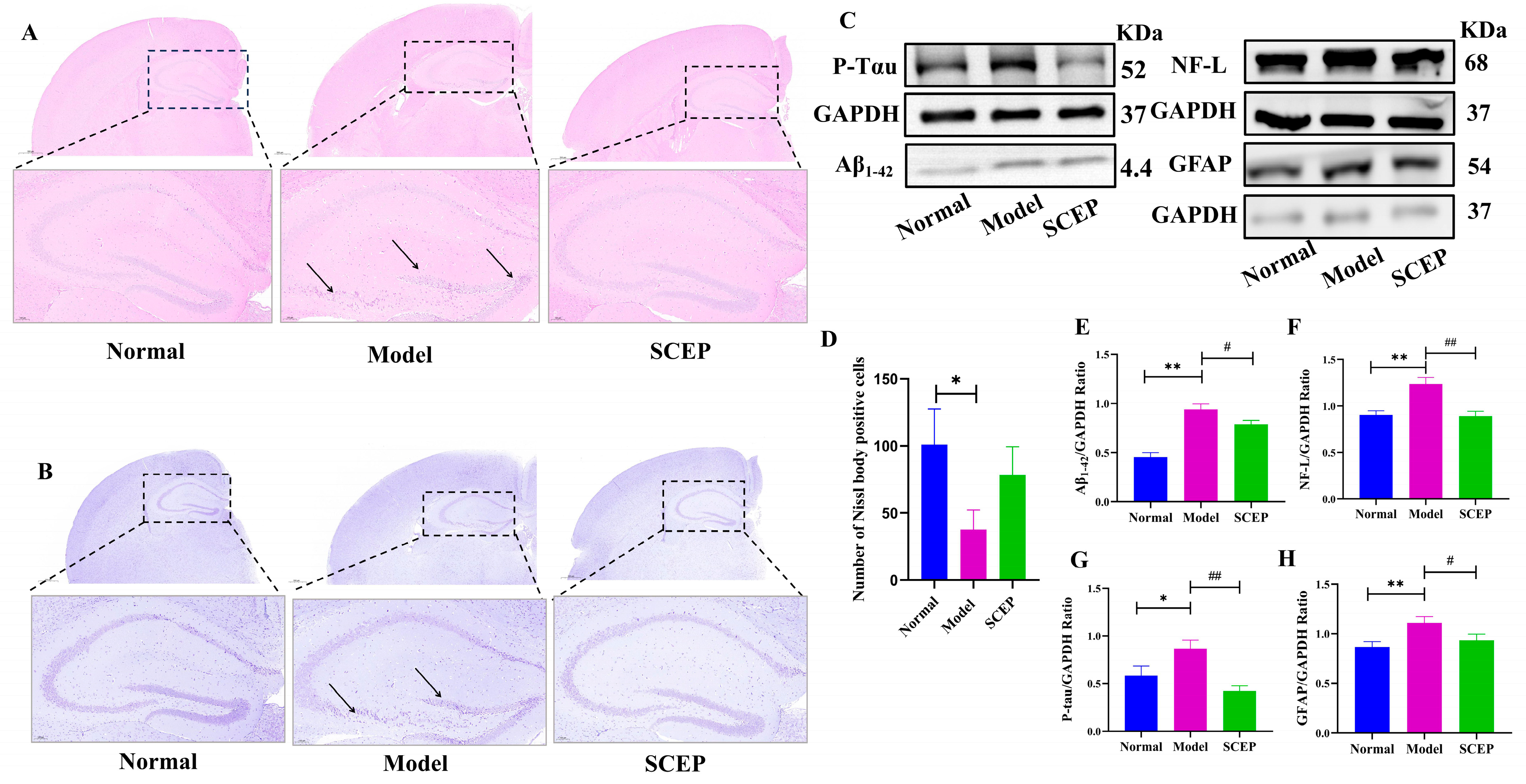 Nutrients 17 02312 g002