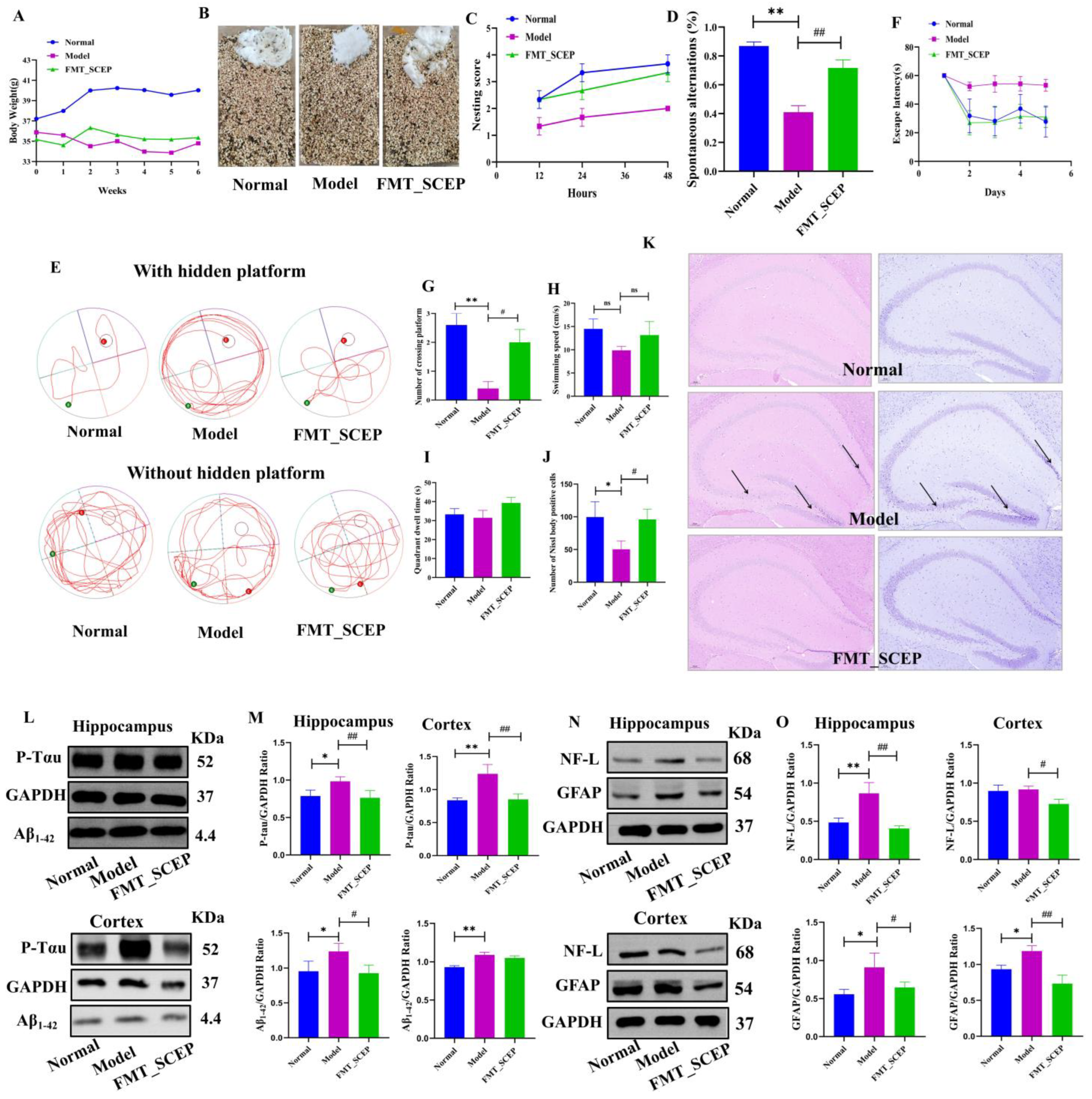 Nutrients 17 02312 g004