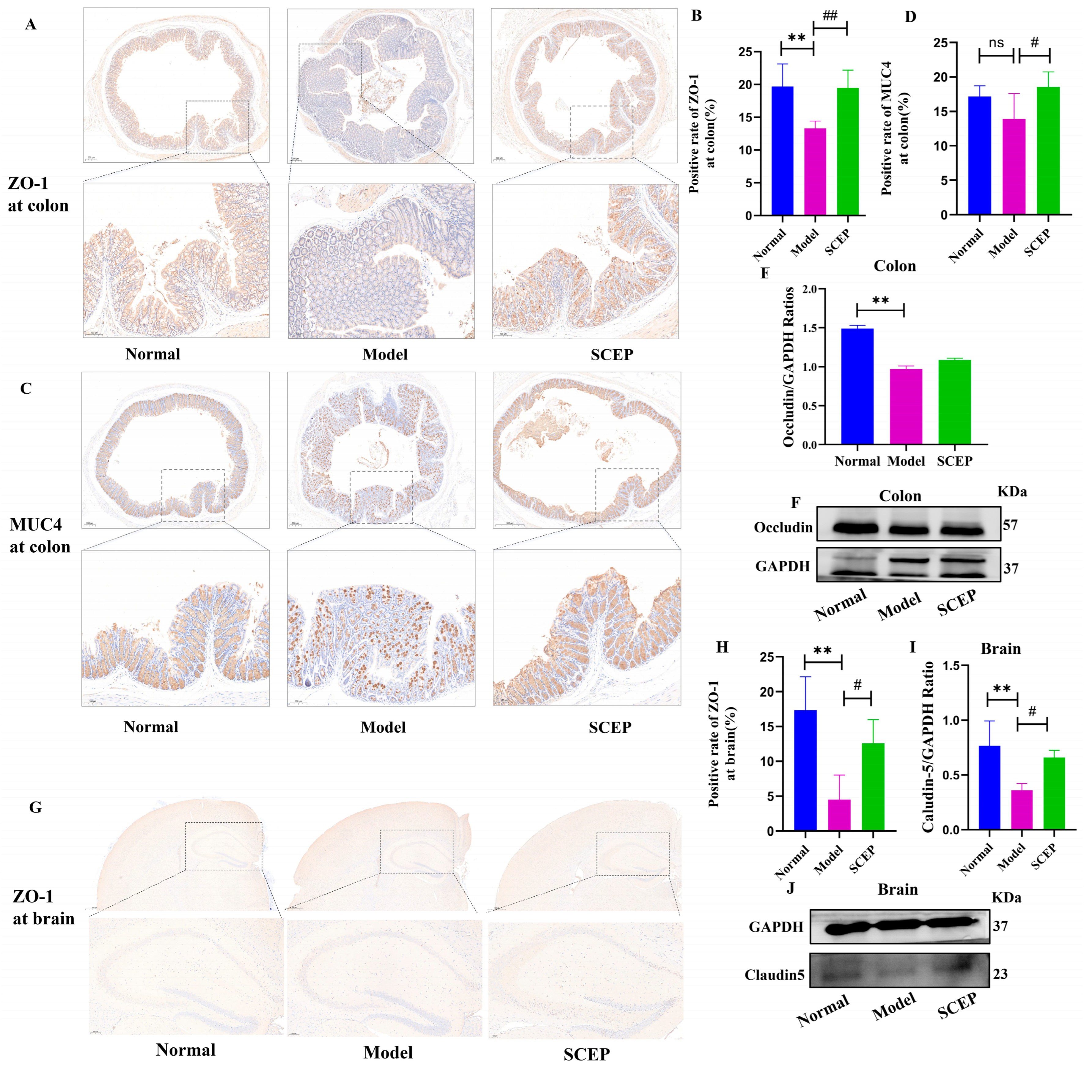 Nutrients 17 02312 g007