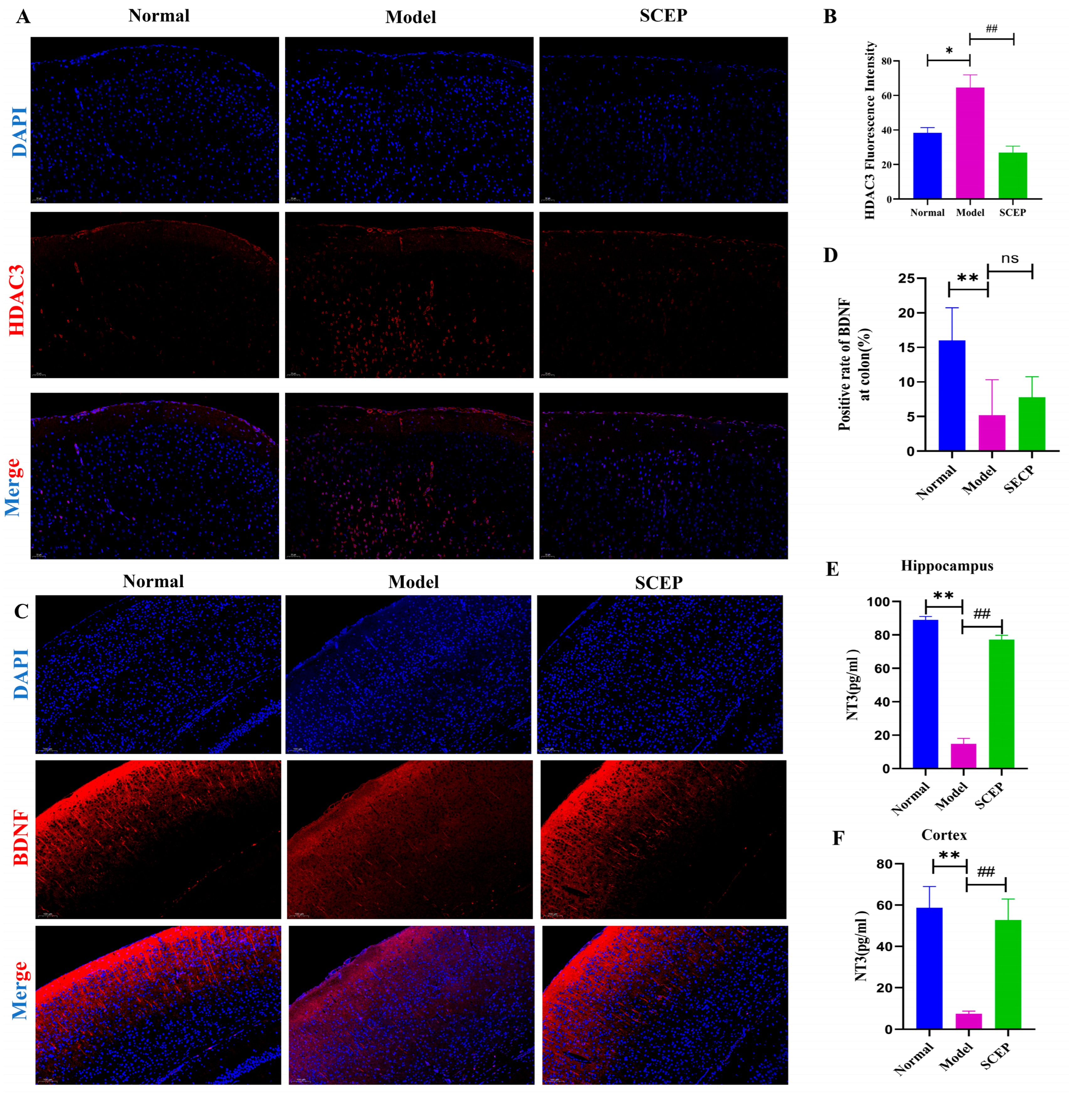 Nutrients 17 02312 g008