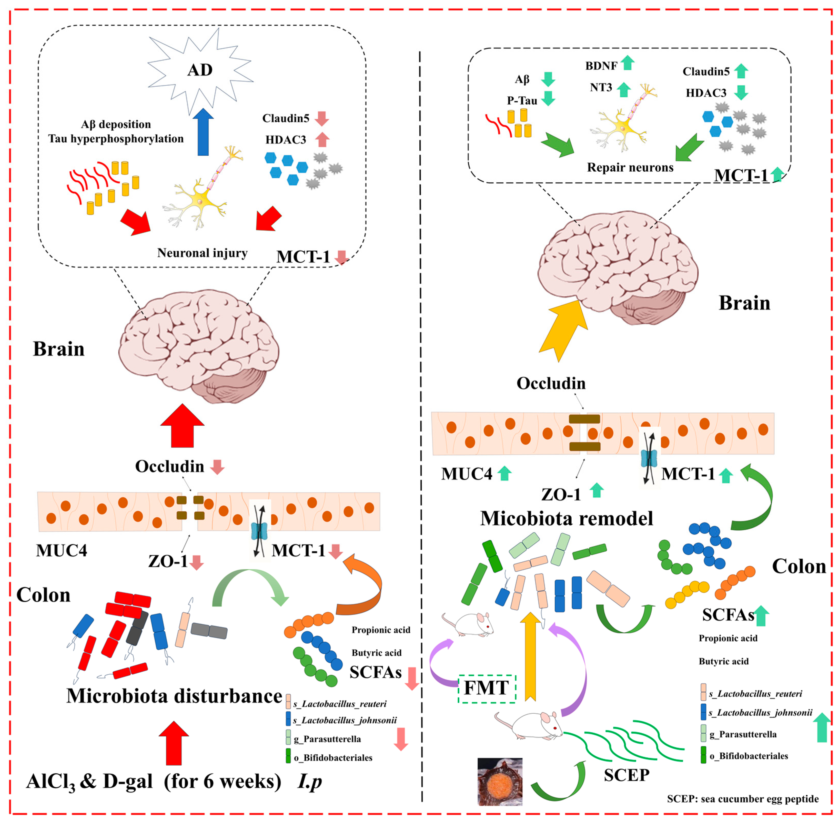 Nutrients 17 02312 g009