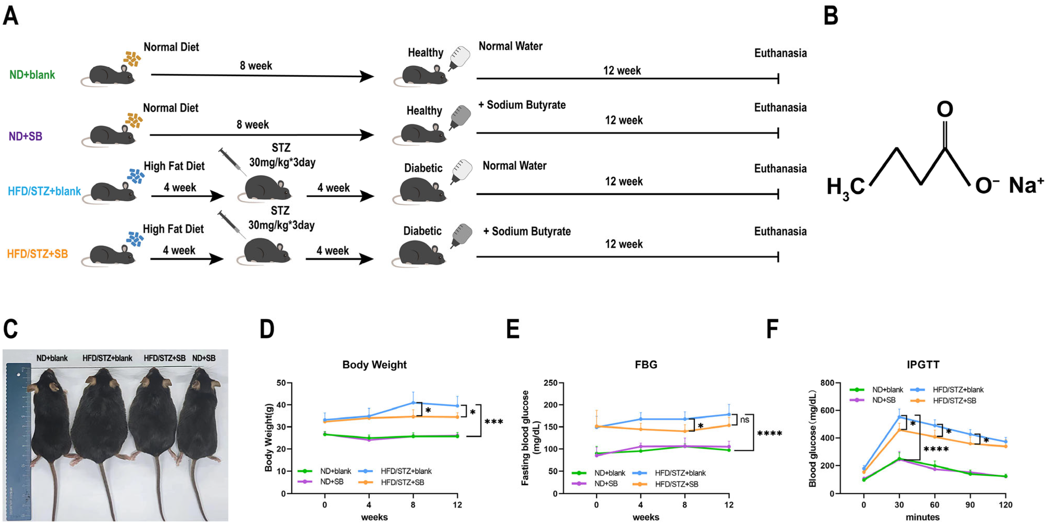 Nutrients 17 02363 g001