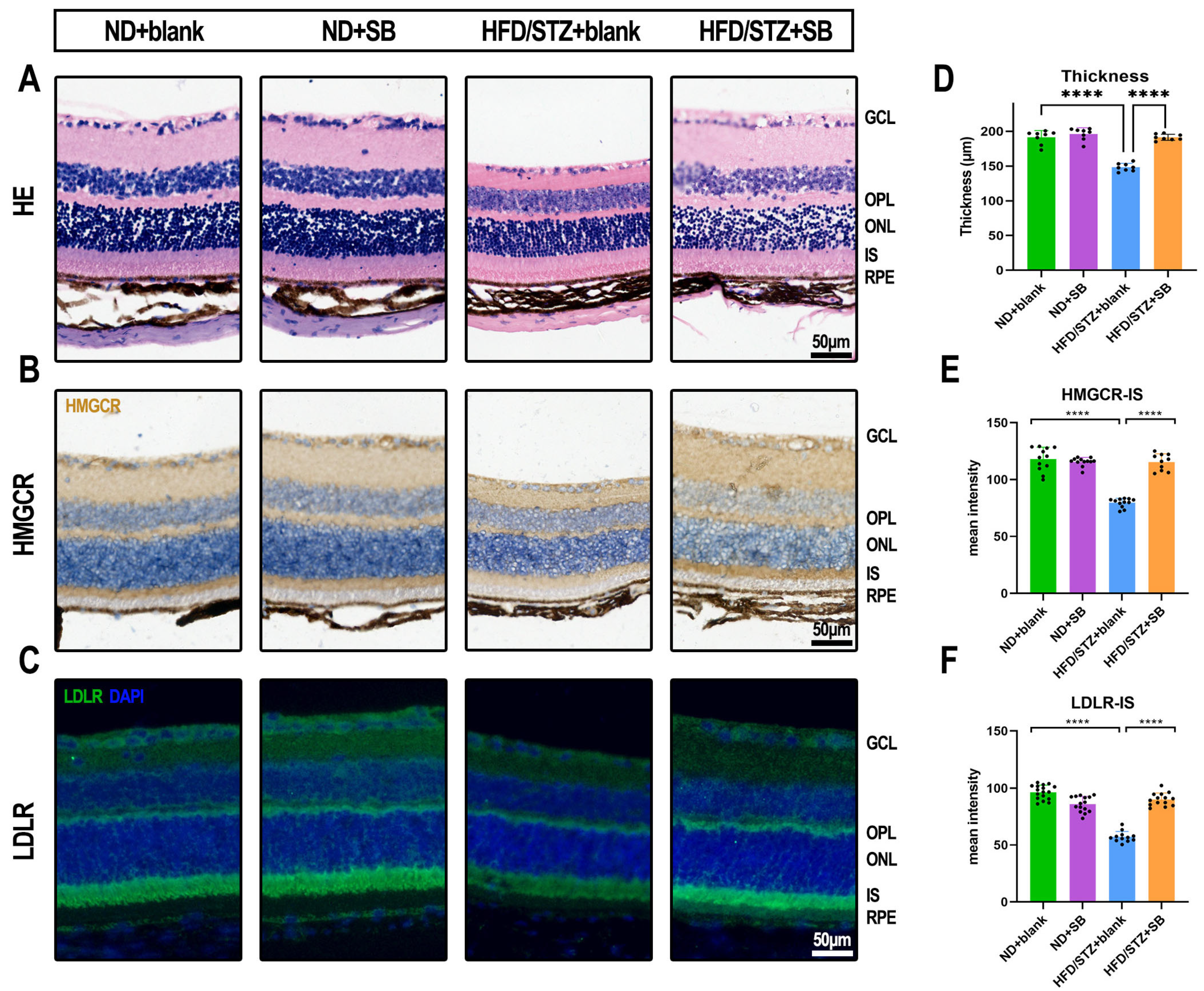 Nutrients 17 02363 g004