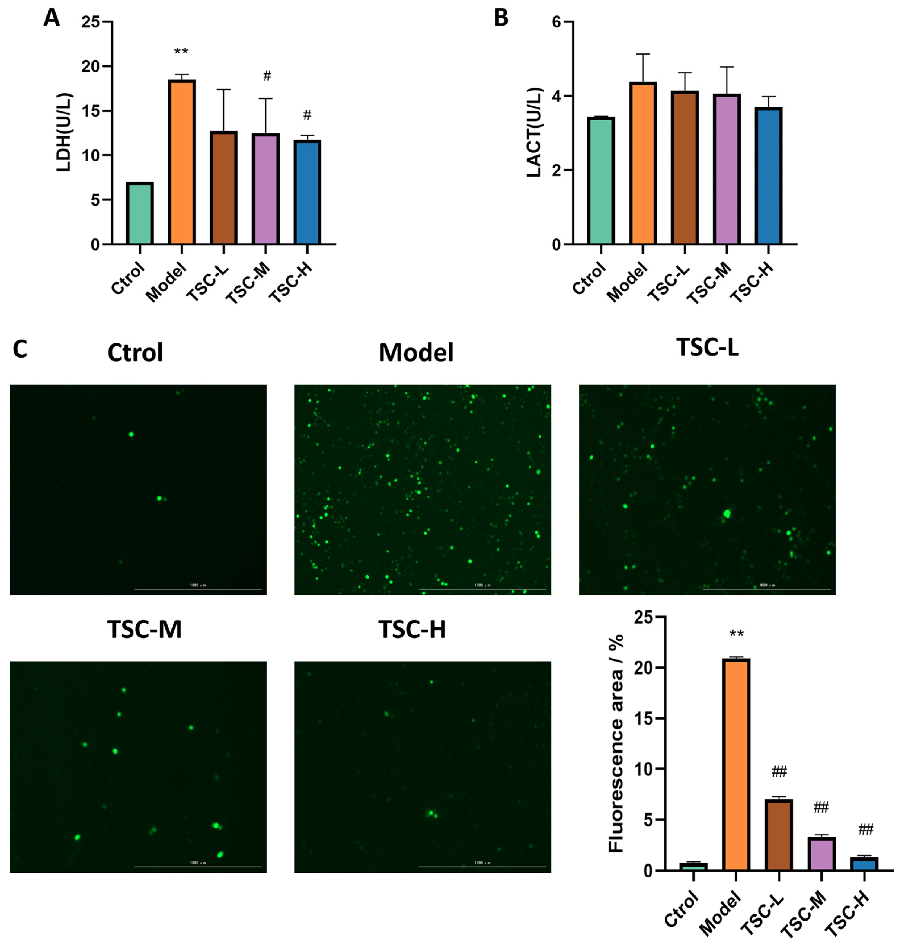 Nutrients 17 02406 g007