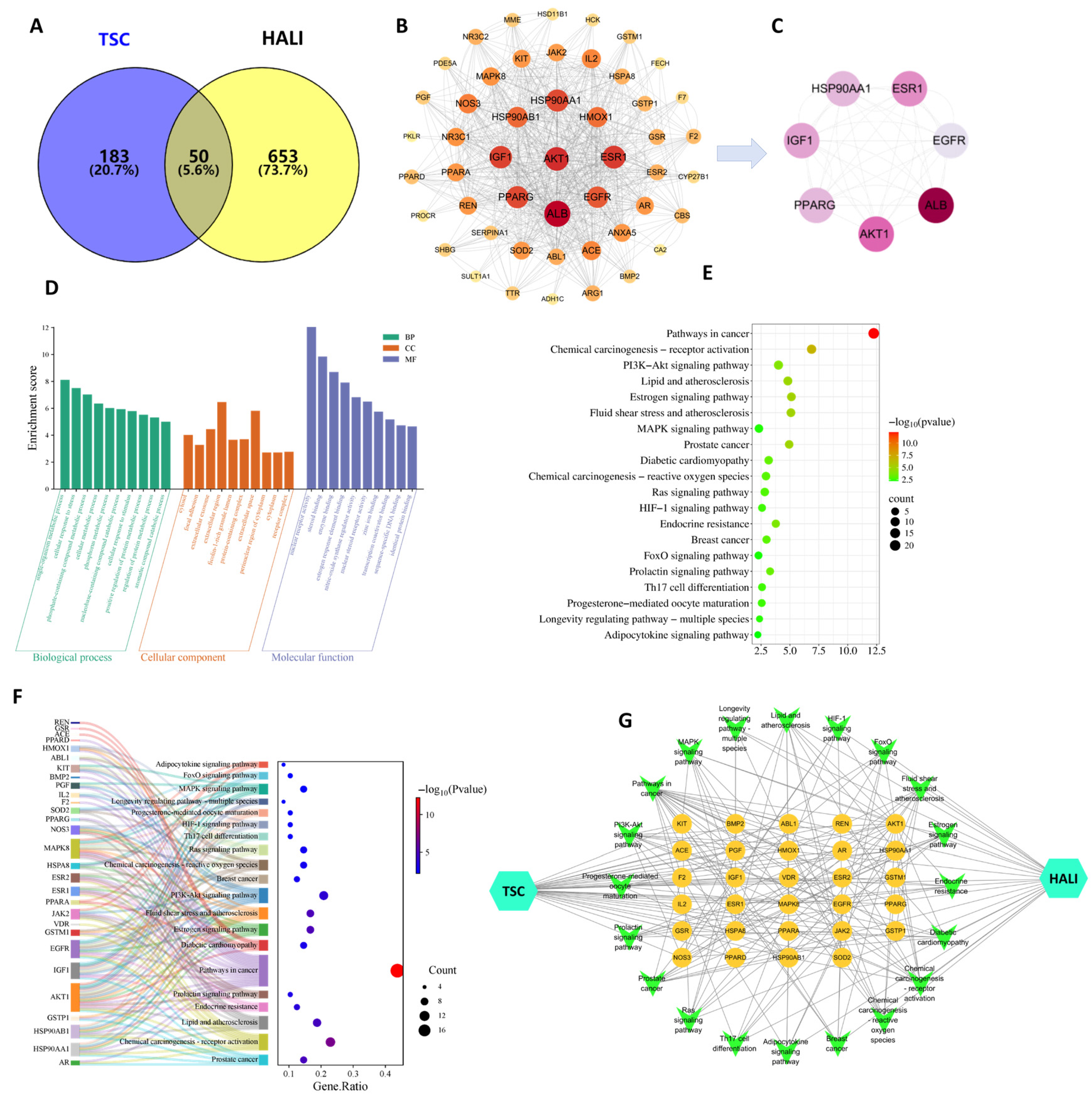 Nutrients 17 02406 g010
