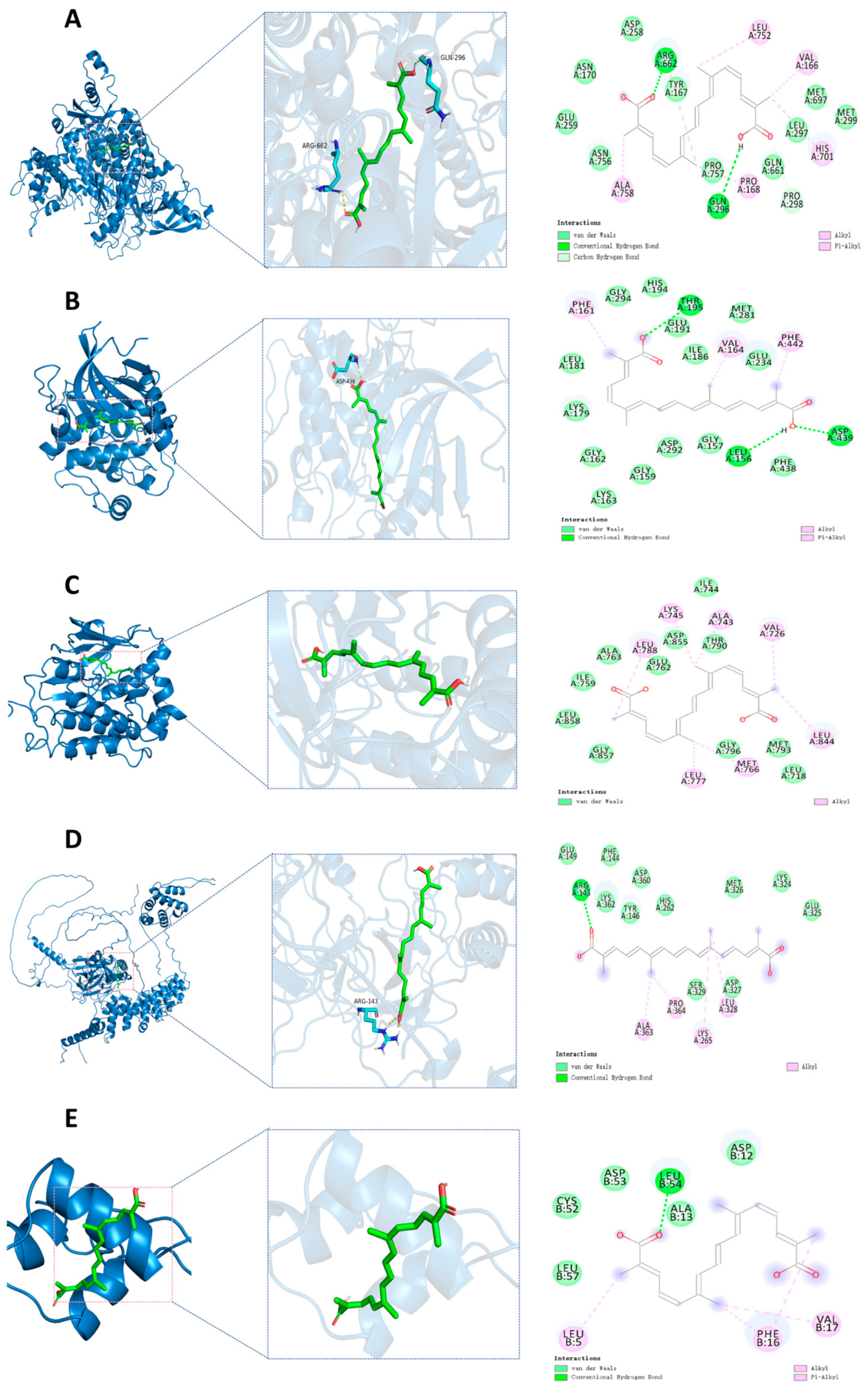 Nutrients 17 02406 g011
