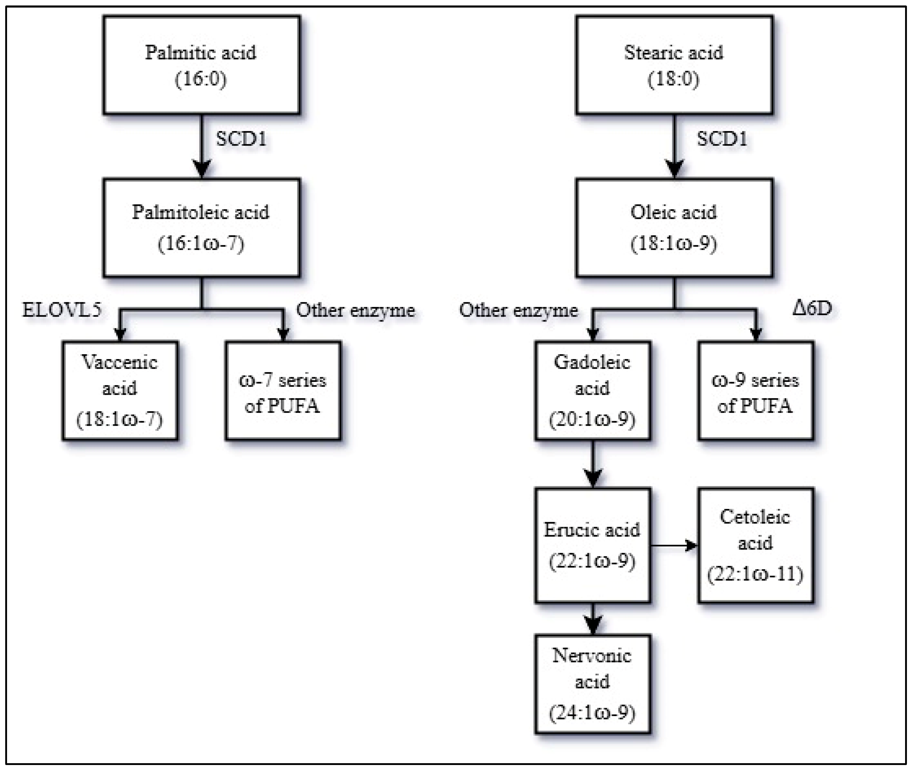 Nutrients 17 02509 g002