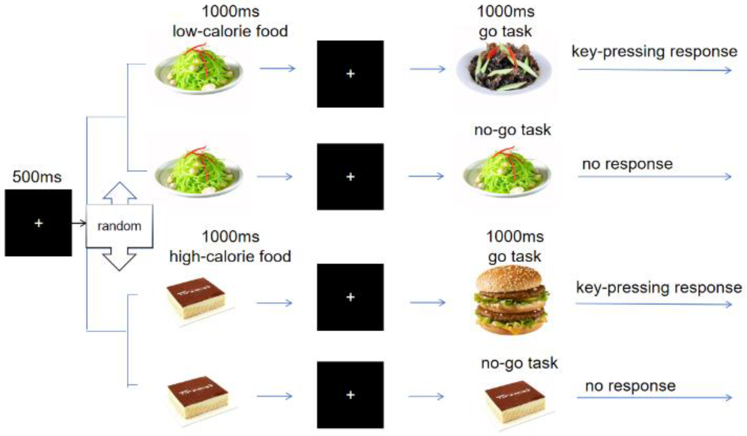 Nutrients 17 02555 g001 Nutrients 17 02555 g001