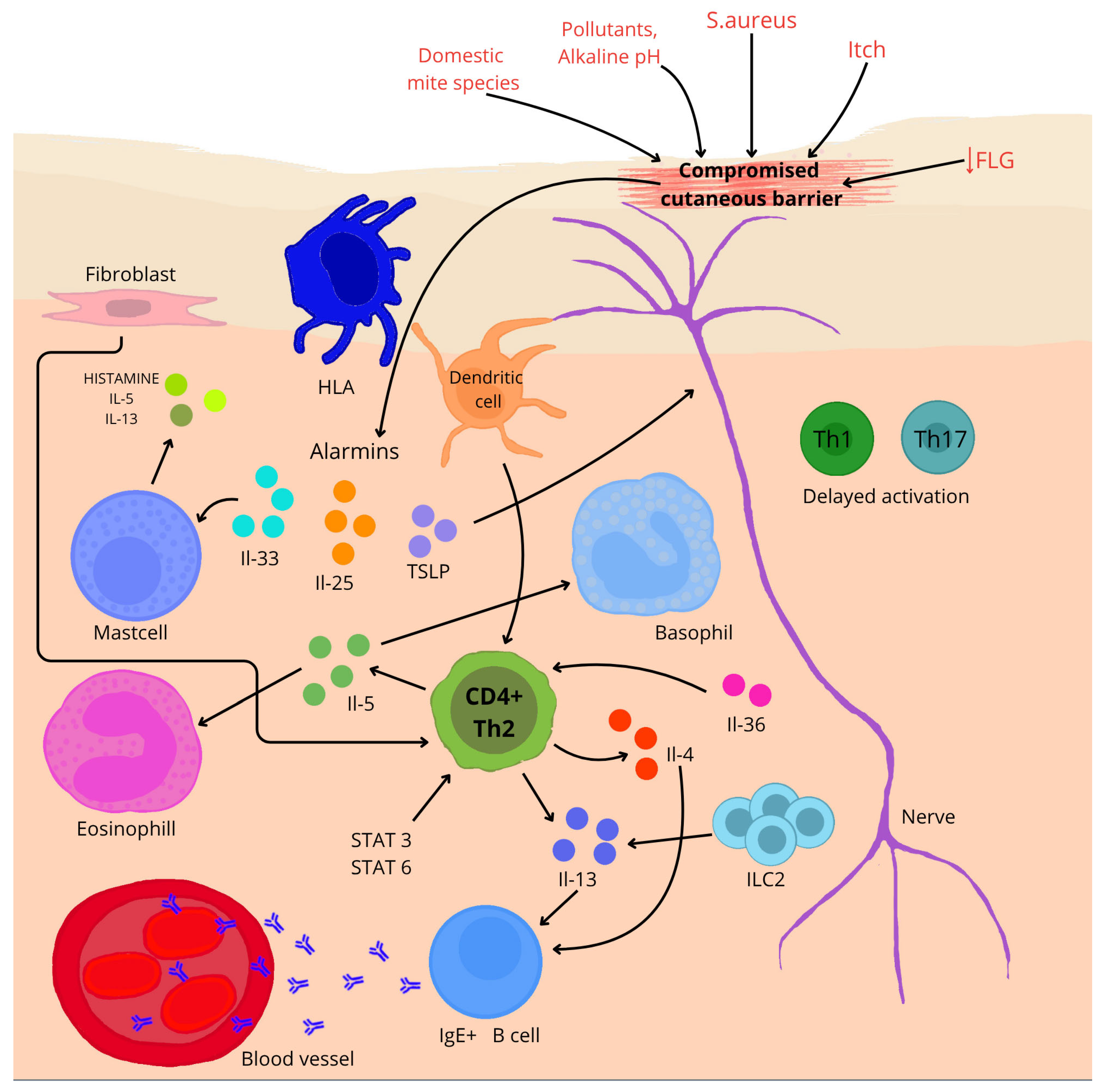 Nutrients 17 02582 g002 Nutrients 17 02582 g002