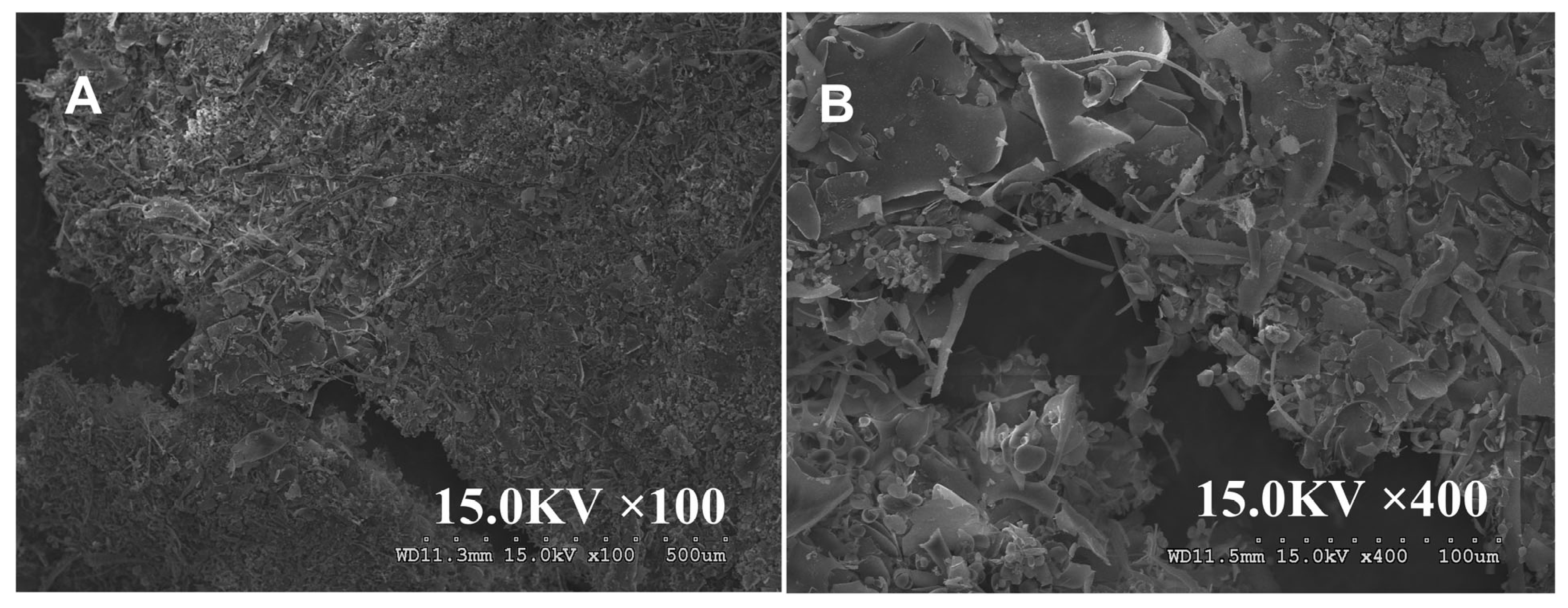 Nutrients 17 02592 g003