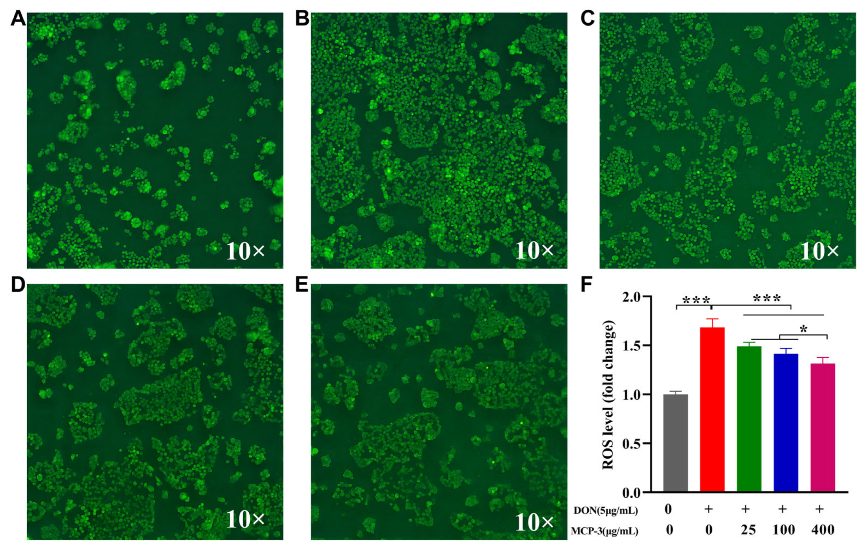 Nutrients 17 02592 g007