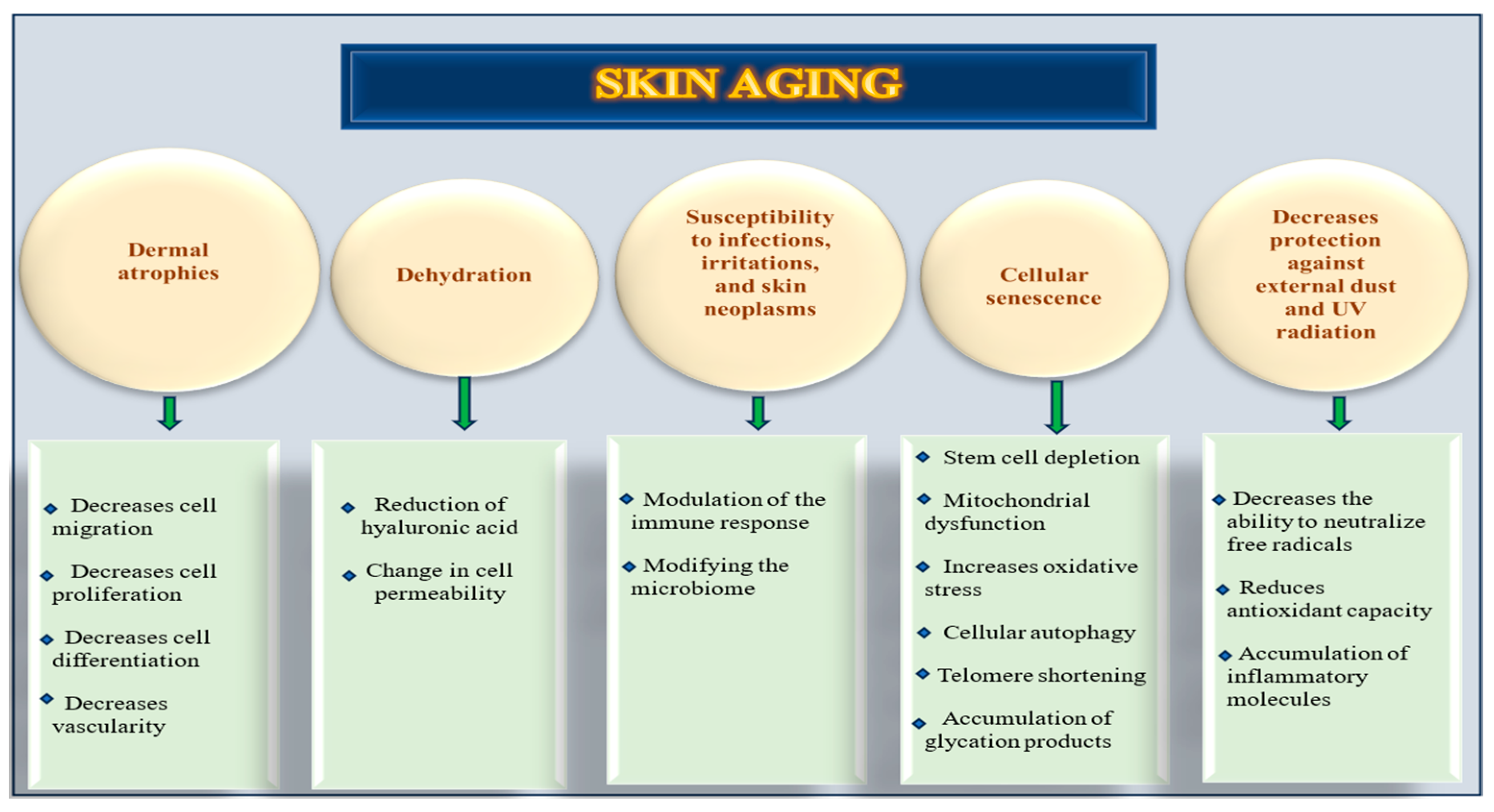 Nutrients 17 02596 g001 Nutrients 17 02596 g001