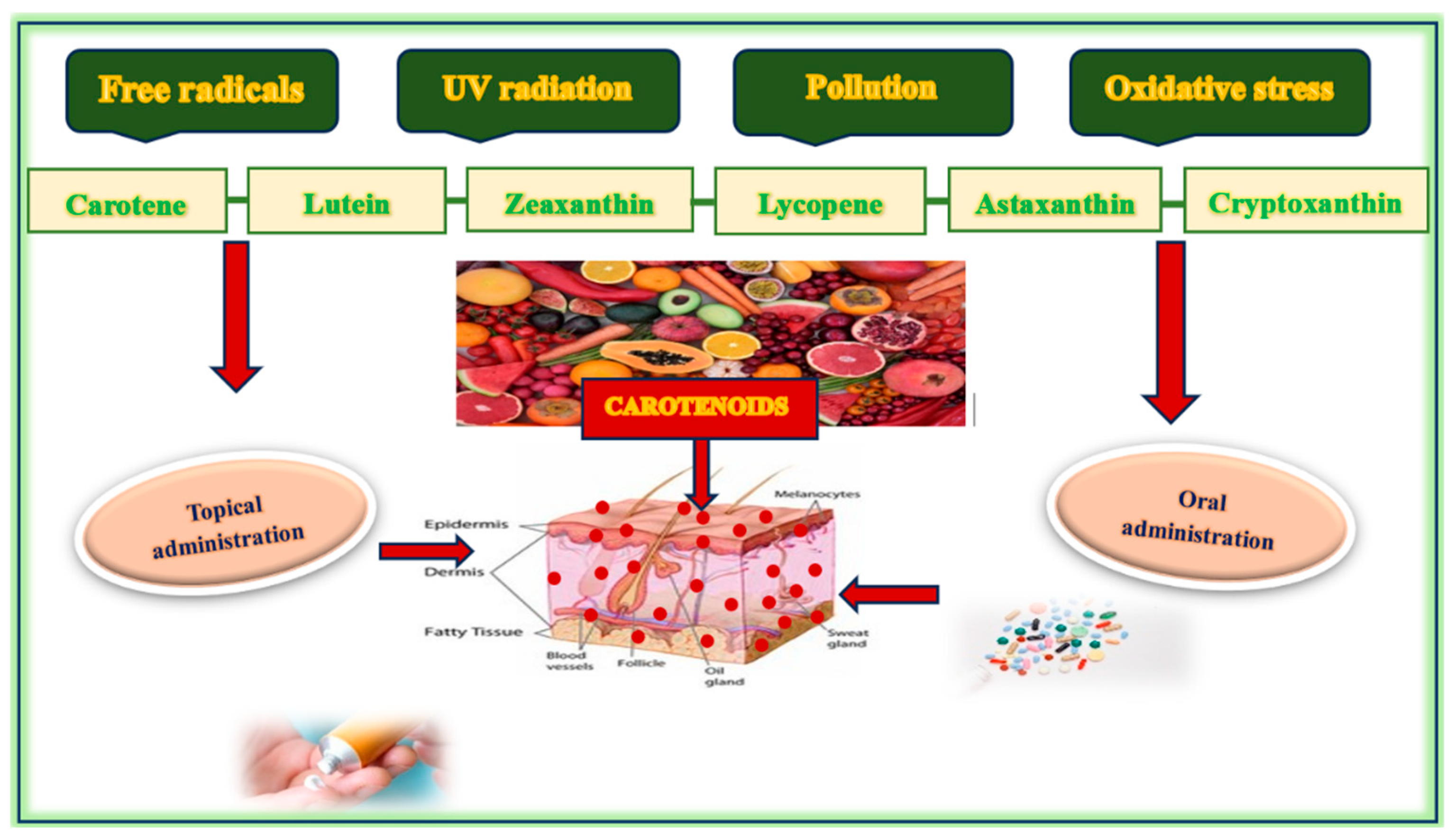Nutrients 17 02596 g003 Nutrients 17 02596 g003