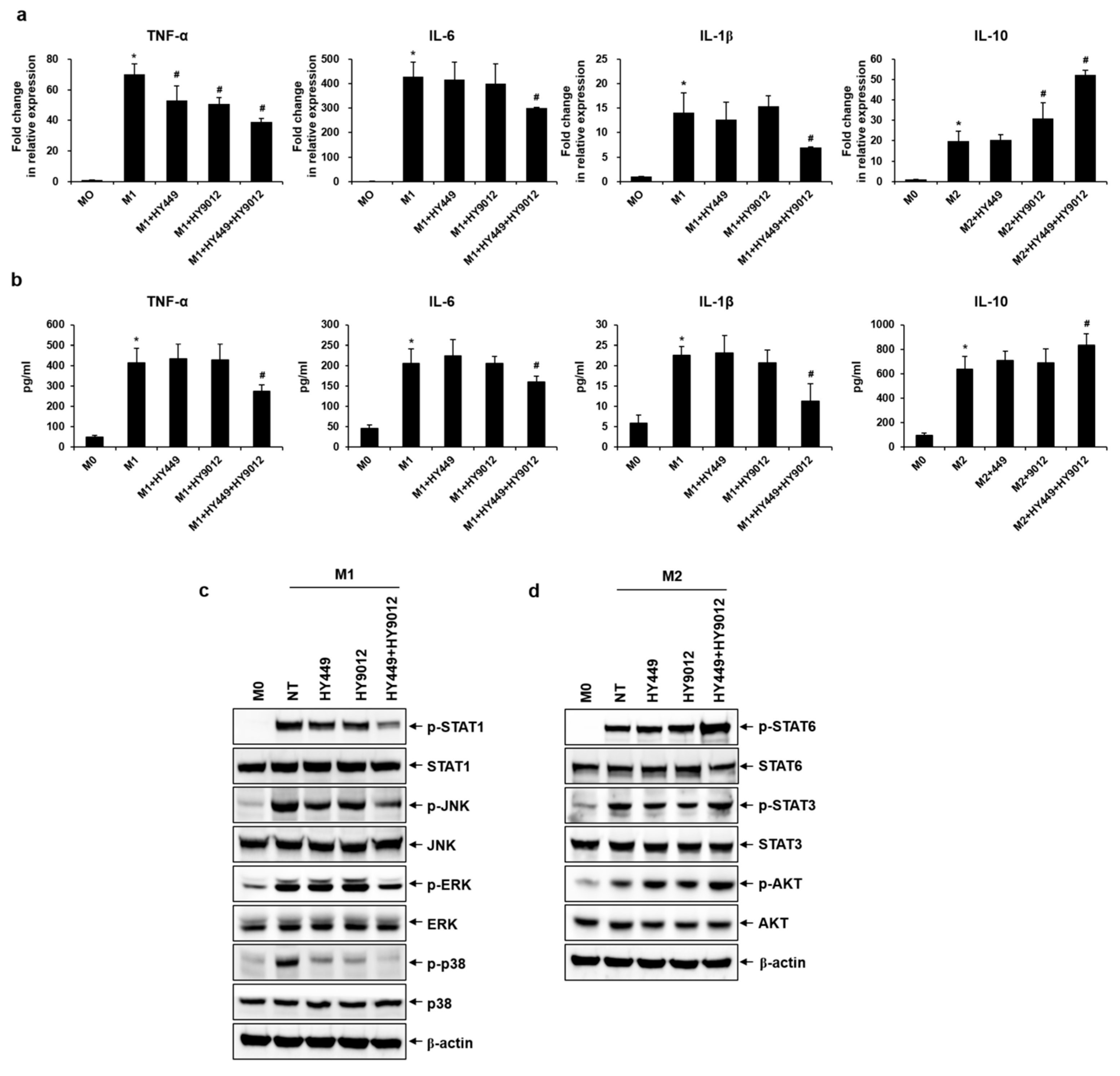 Nutrients 17 02638 g002