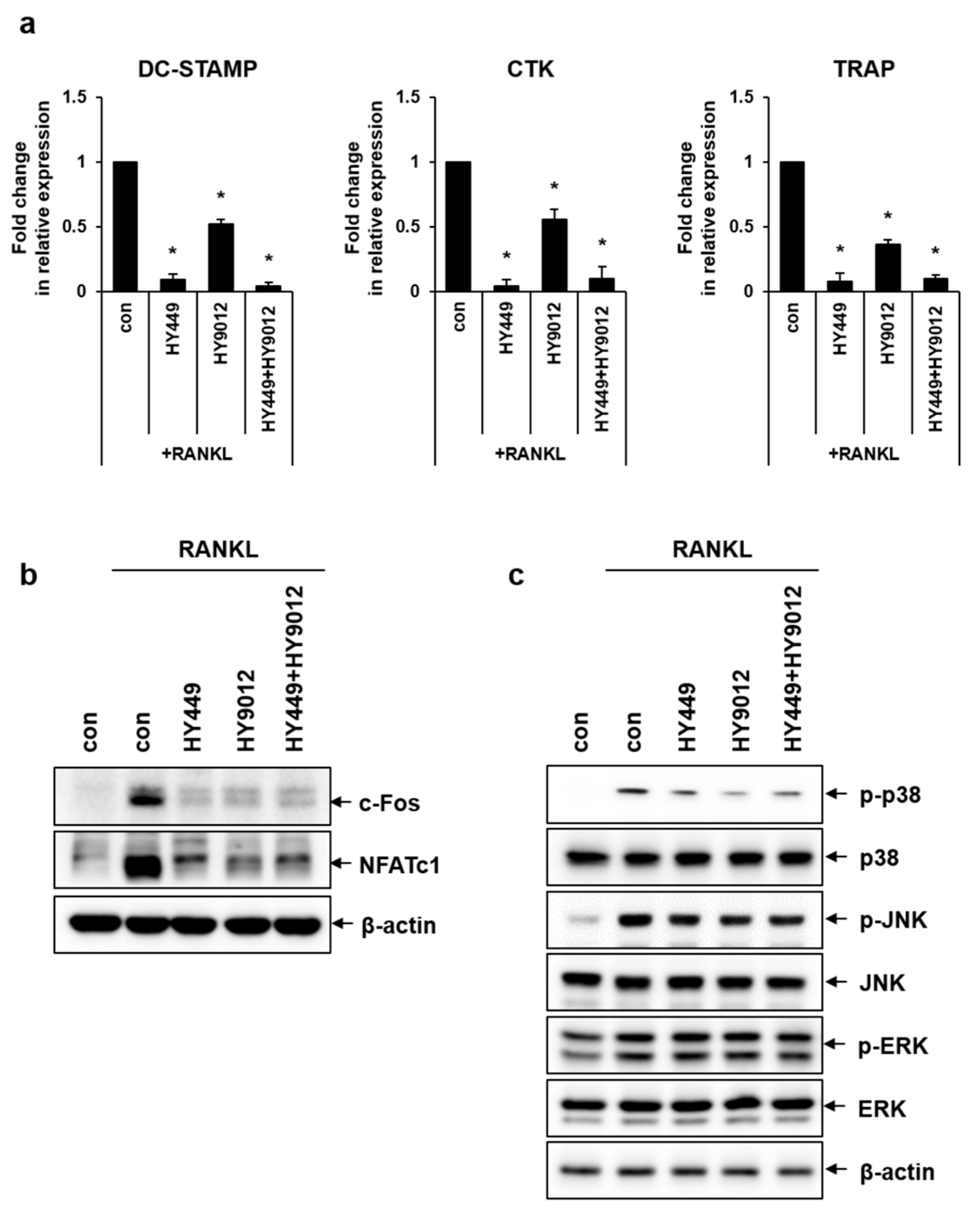 Nutrients 17 02638 g004