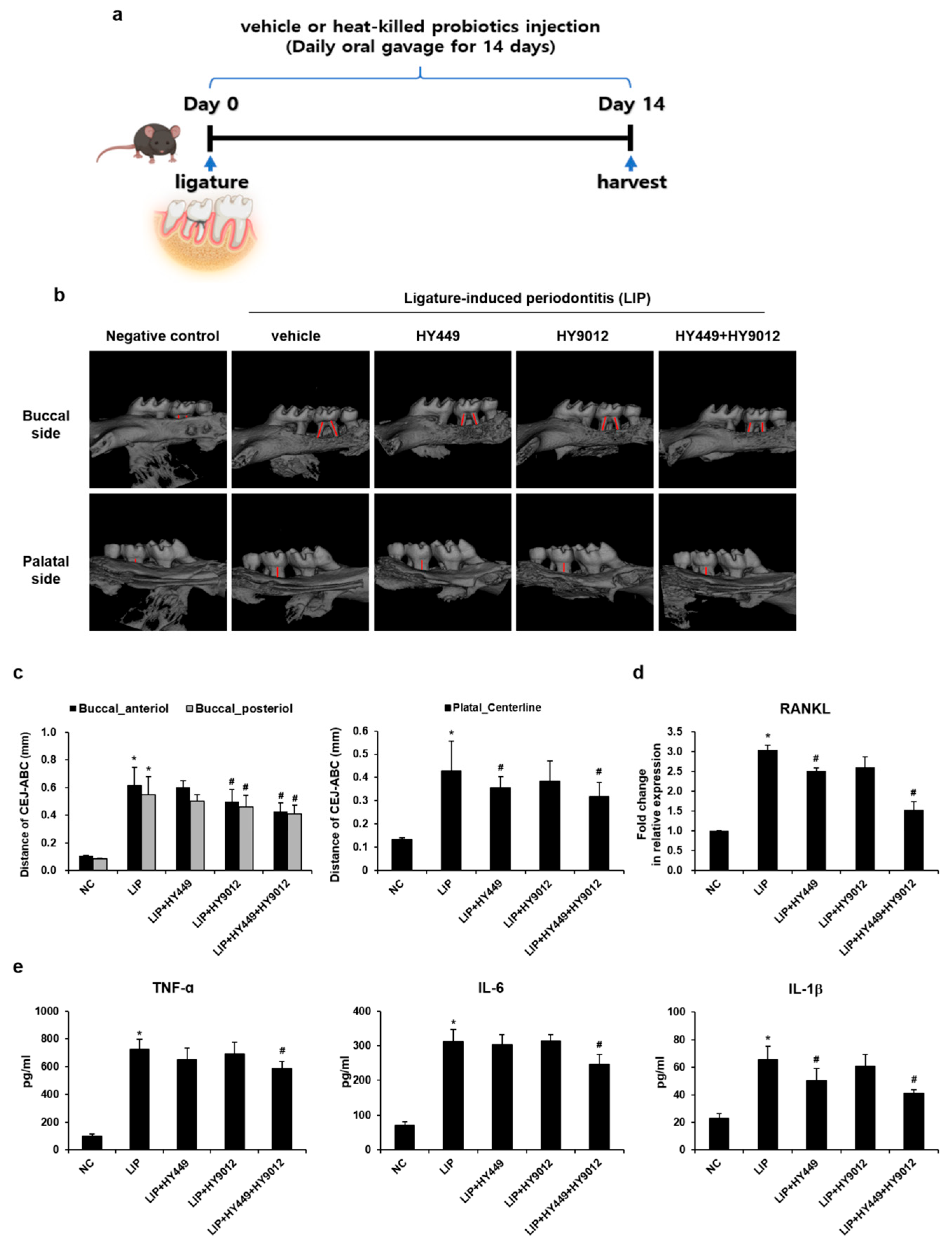 Nutrients 17 02638 g005