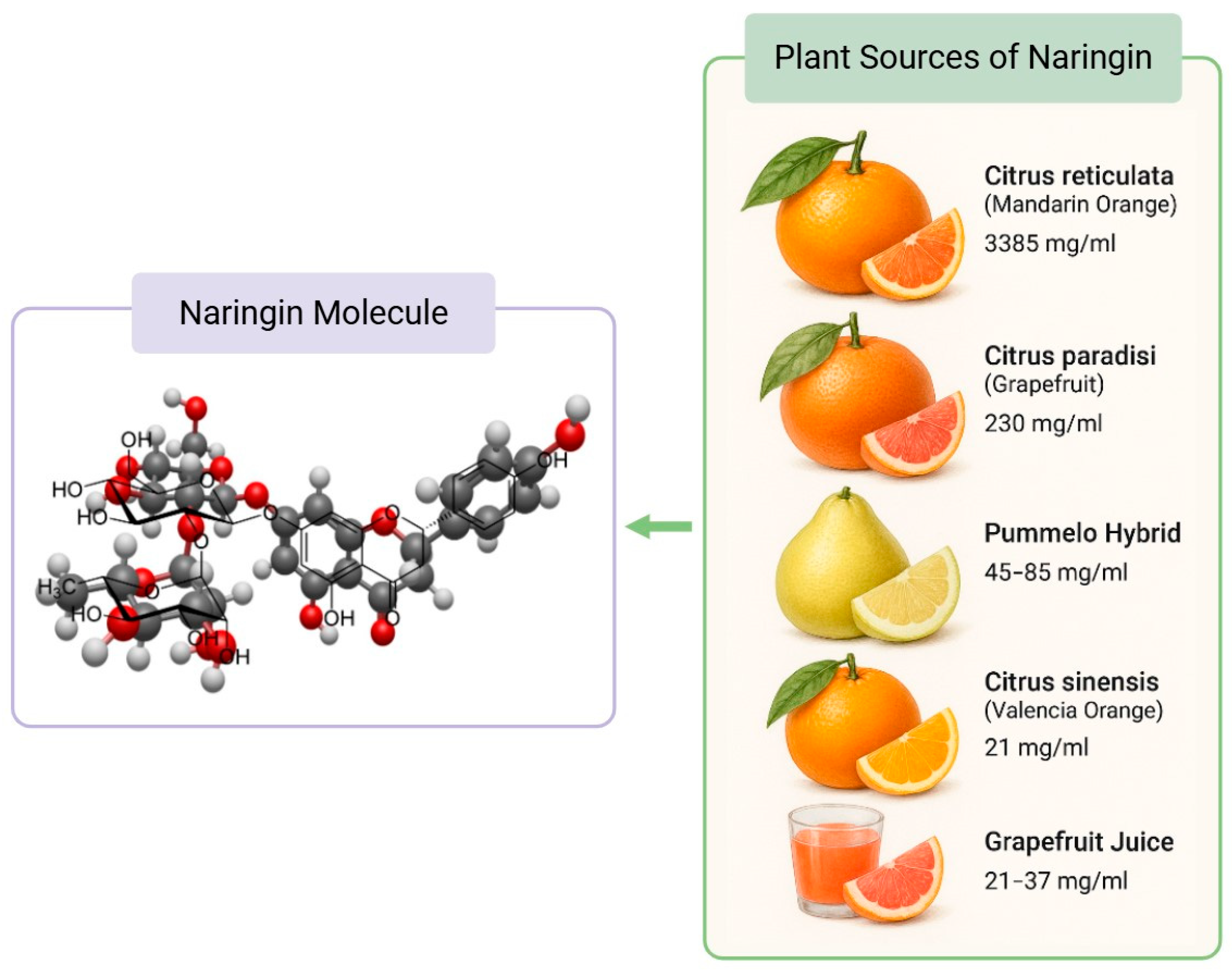 Nutrients 17 02658 g001 Nutrients 17 02658 g001