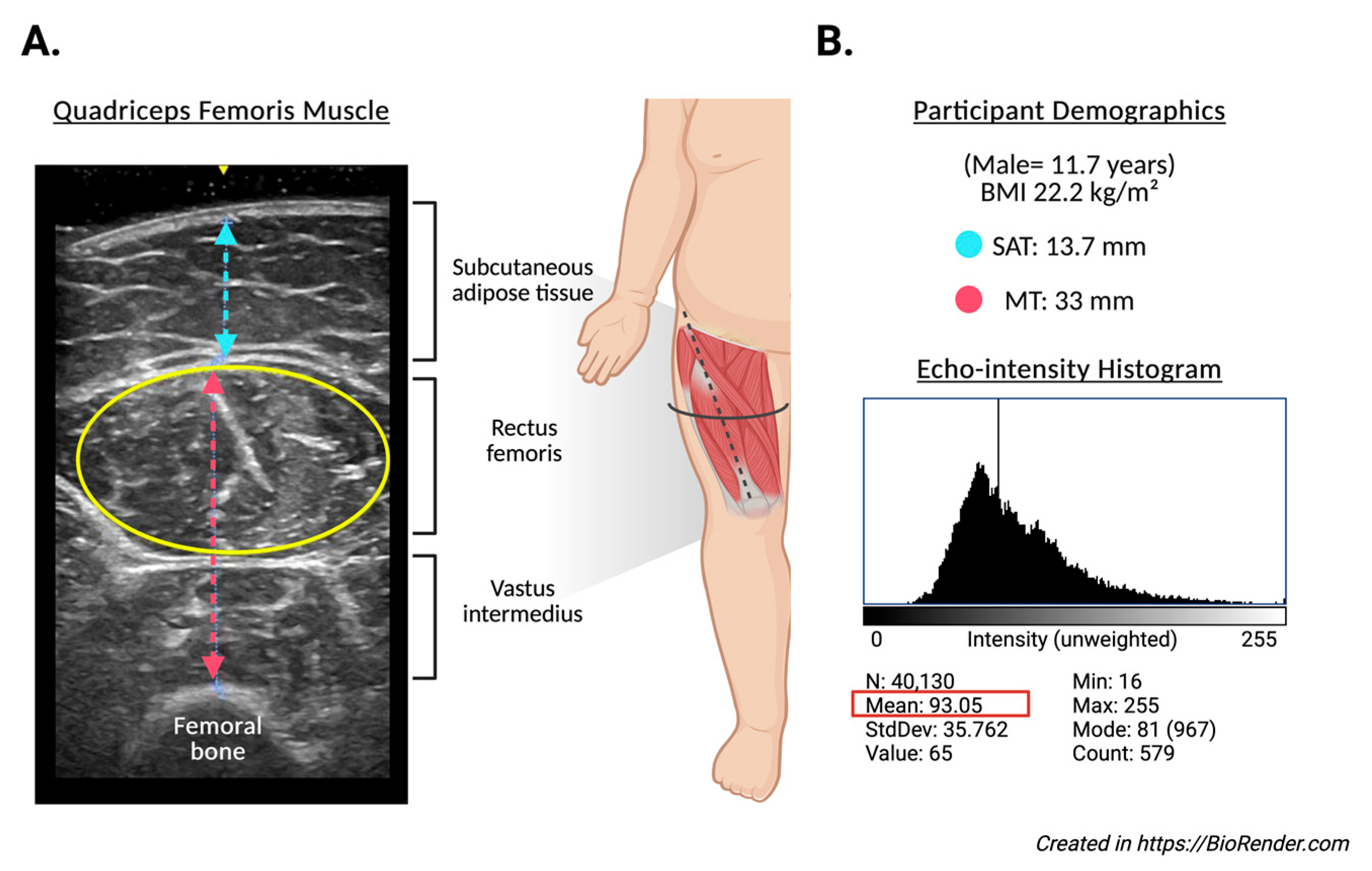 Nutrients 17 02659 g001