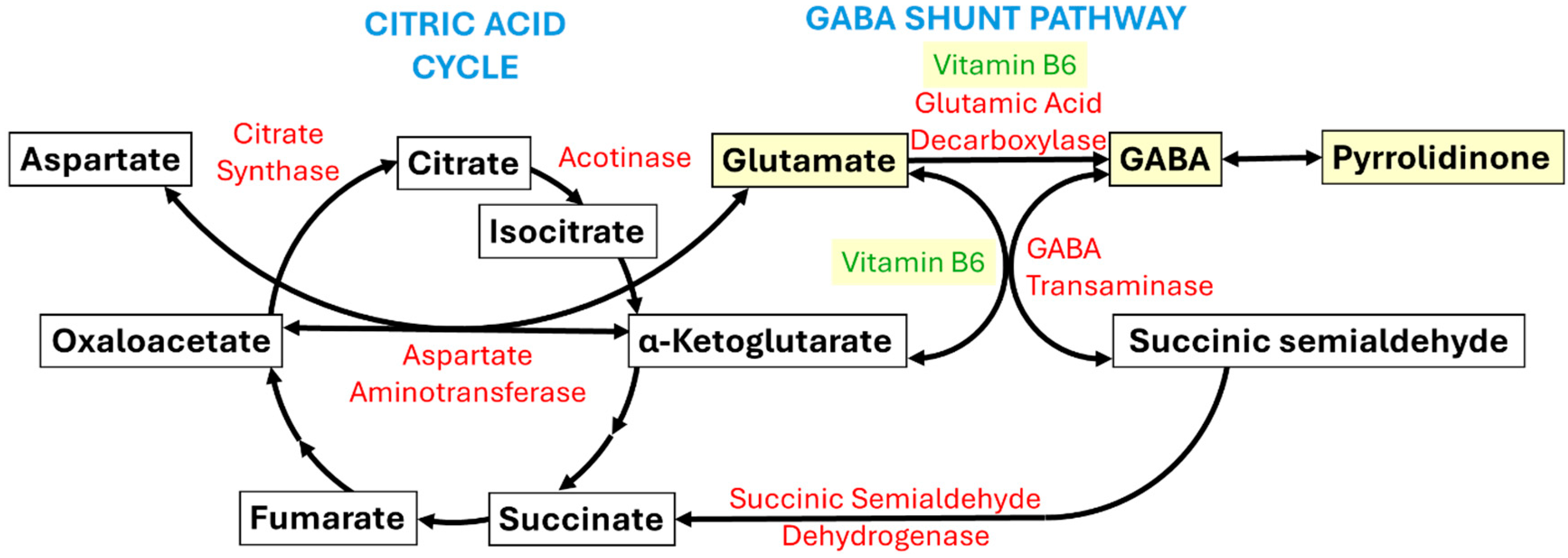 Nutrients 17 02676 g002 Nutrients 17 02676 g002