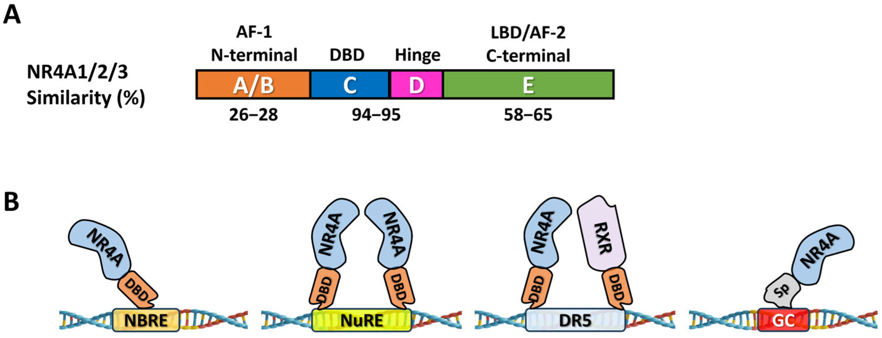 Nutrients 17 02709 g001