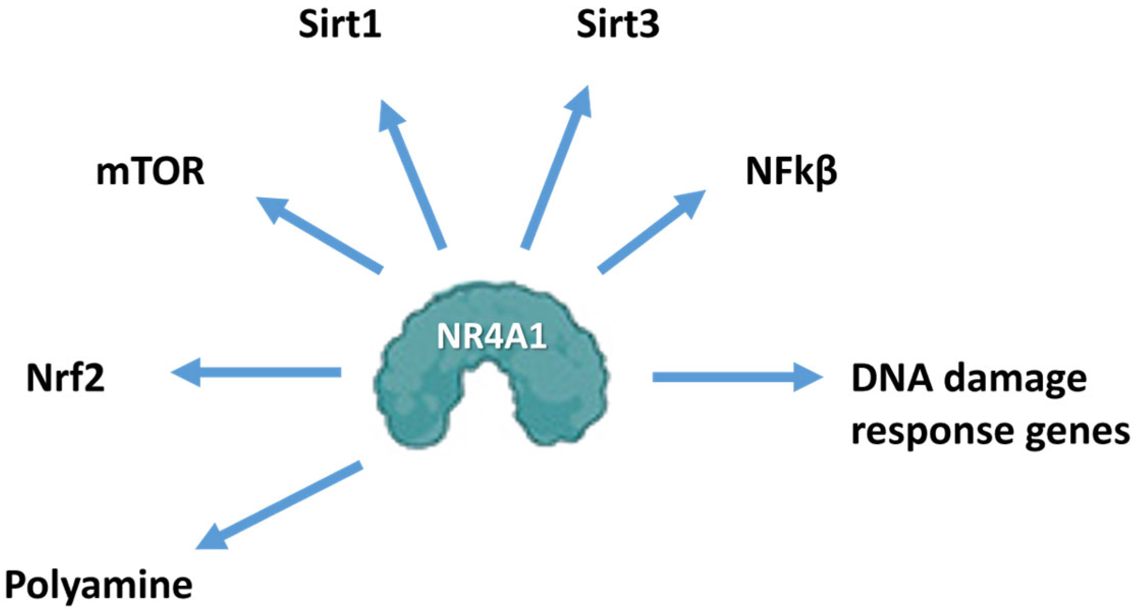 Nutrients 17 02709 g003