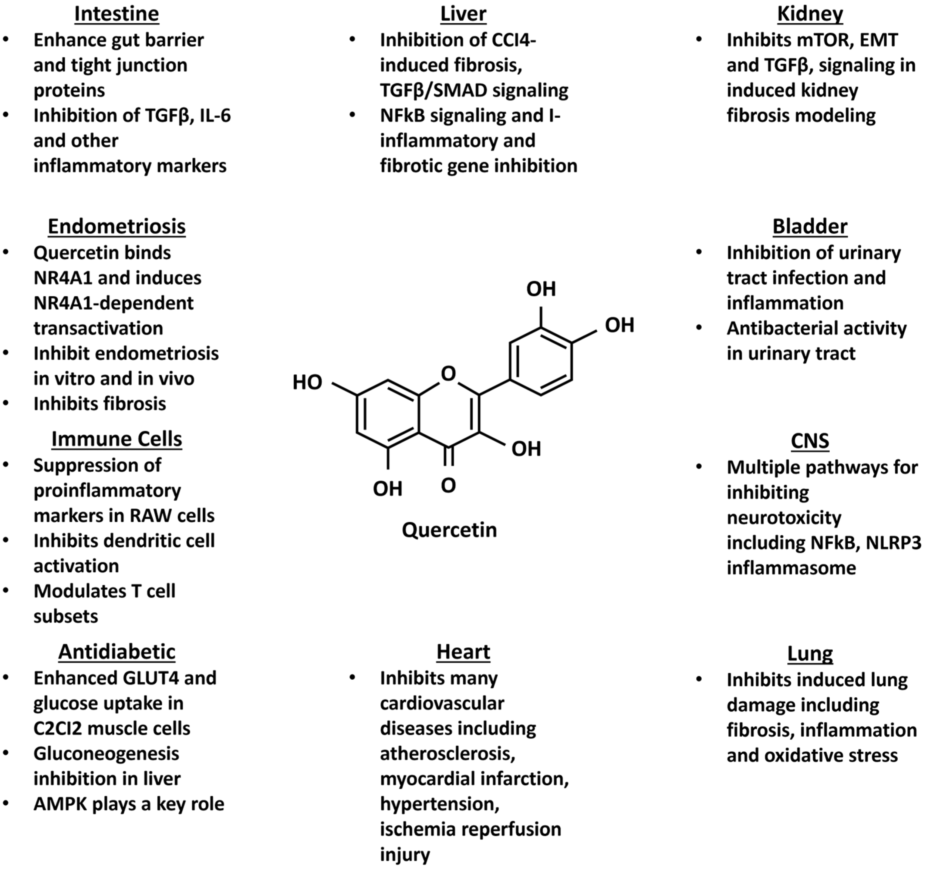 Nutrients 17 02709 g005