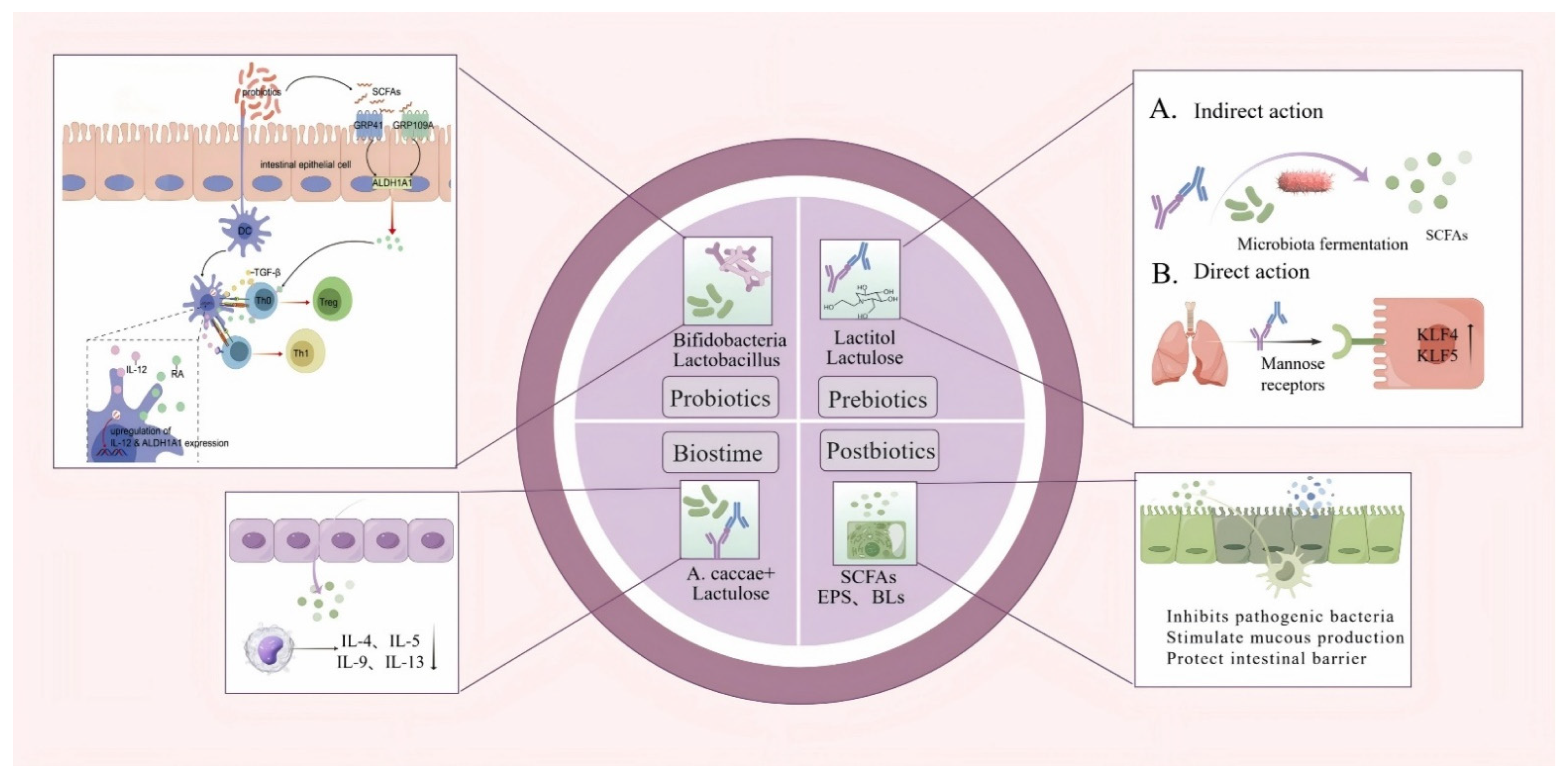 Nutrients 17 02925 g004