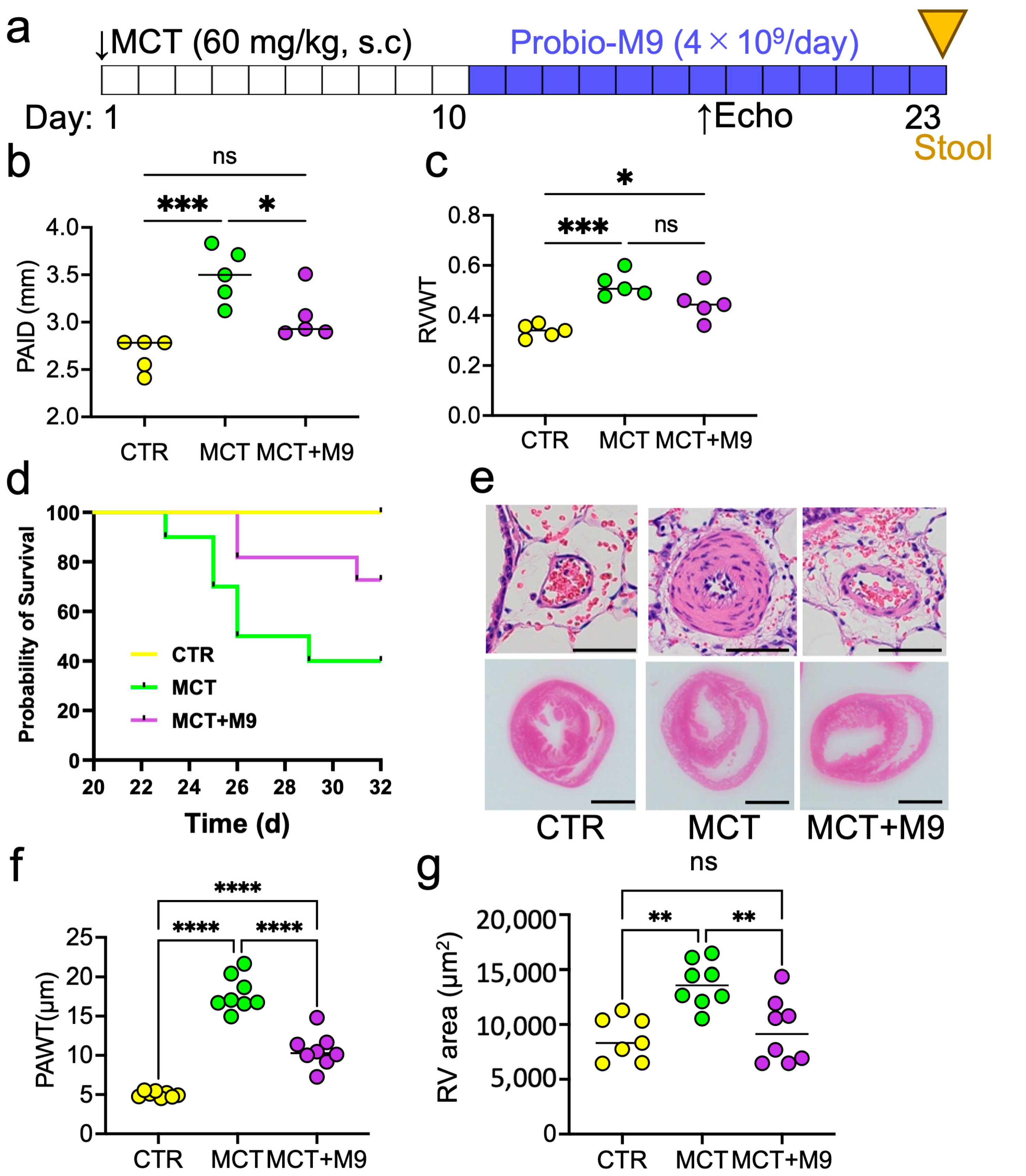 Nutrients 17 02927 g001 Nutrients 17 02927 g001