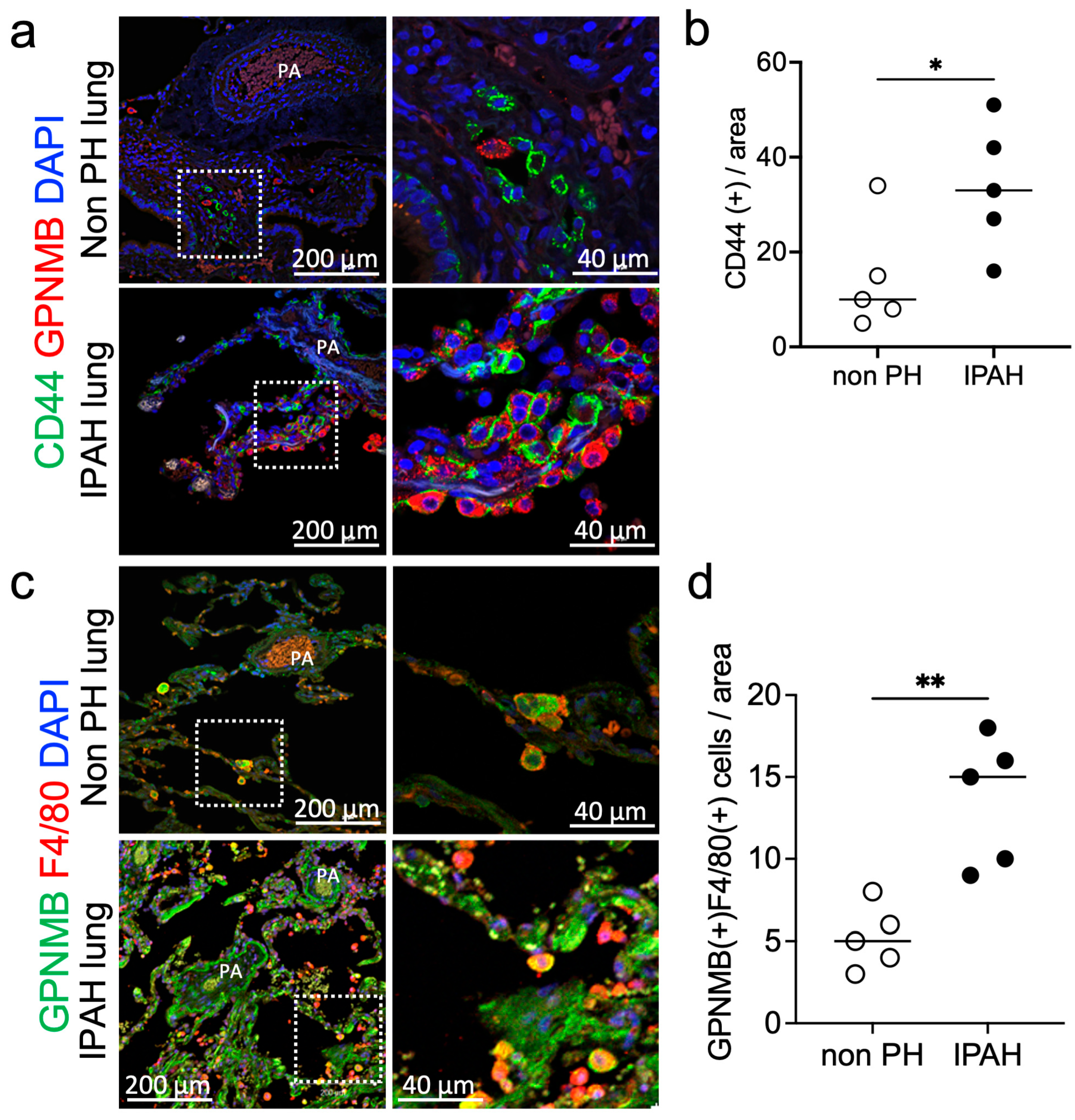Nutrients 17 02927 g006 Nutrients 17 02927 g006