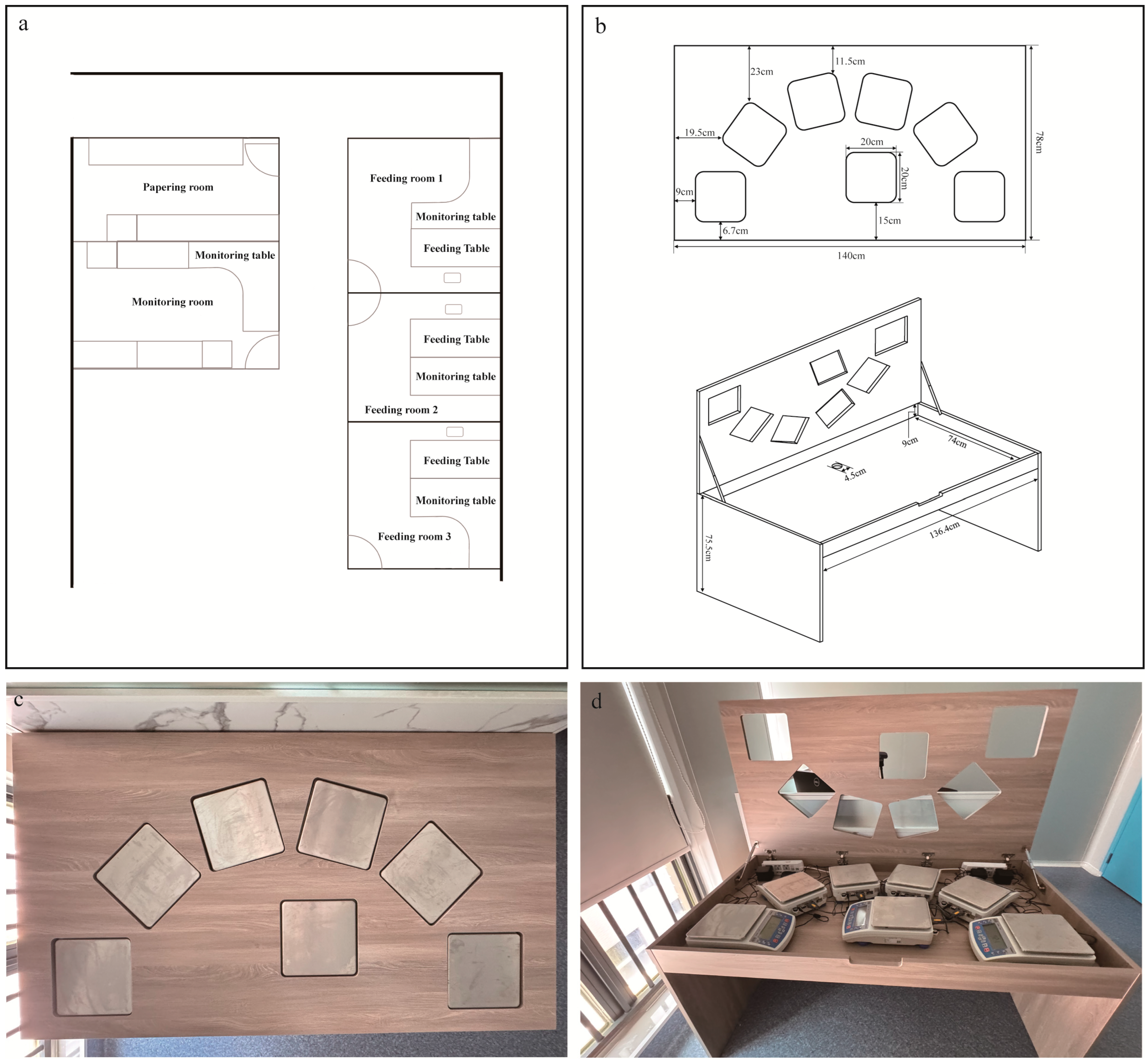 Nutrients 17 02929 g001