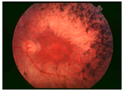 Nutrients 17 02964 i001 Nutrients 17 02964 i001