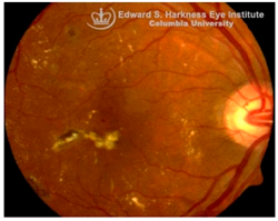 Nutrients 17 02964 i002 Nutrients 17 02964 i002