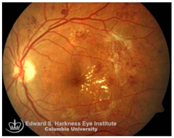 Nutrients 17 02964 i003 Nutrients 17 02964 i003