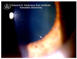 Nutrients 17 02964 i010 Nutrients 17 02964 i010