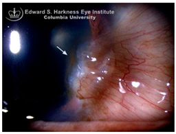 Nutrients 17 02964 i012 Nutrients 17 02964 i012