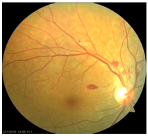 Nutrients 17 02964 i015 Nutrients 17 02964 i015