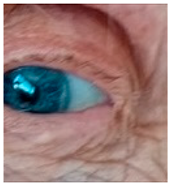 Nutrients 17 02964 i018 Nutrients 17 02964 i018