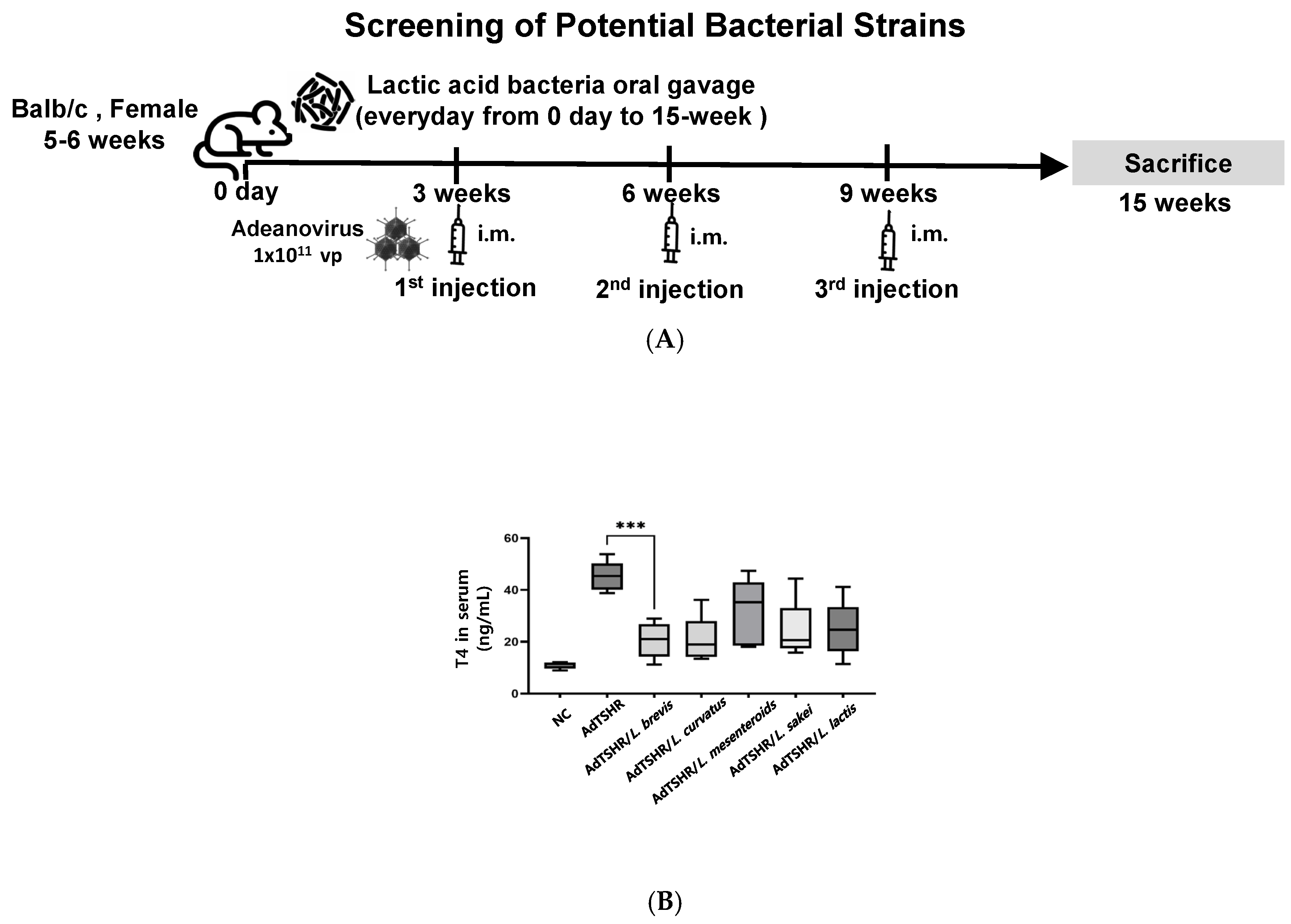 Nutrients 17 02967 g002