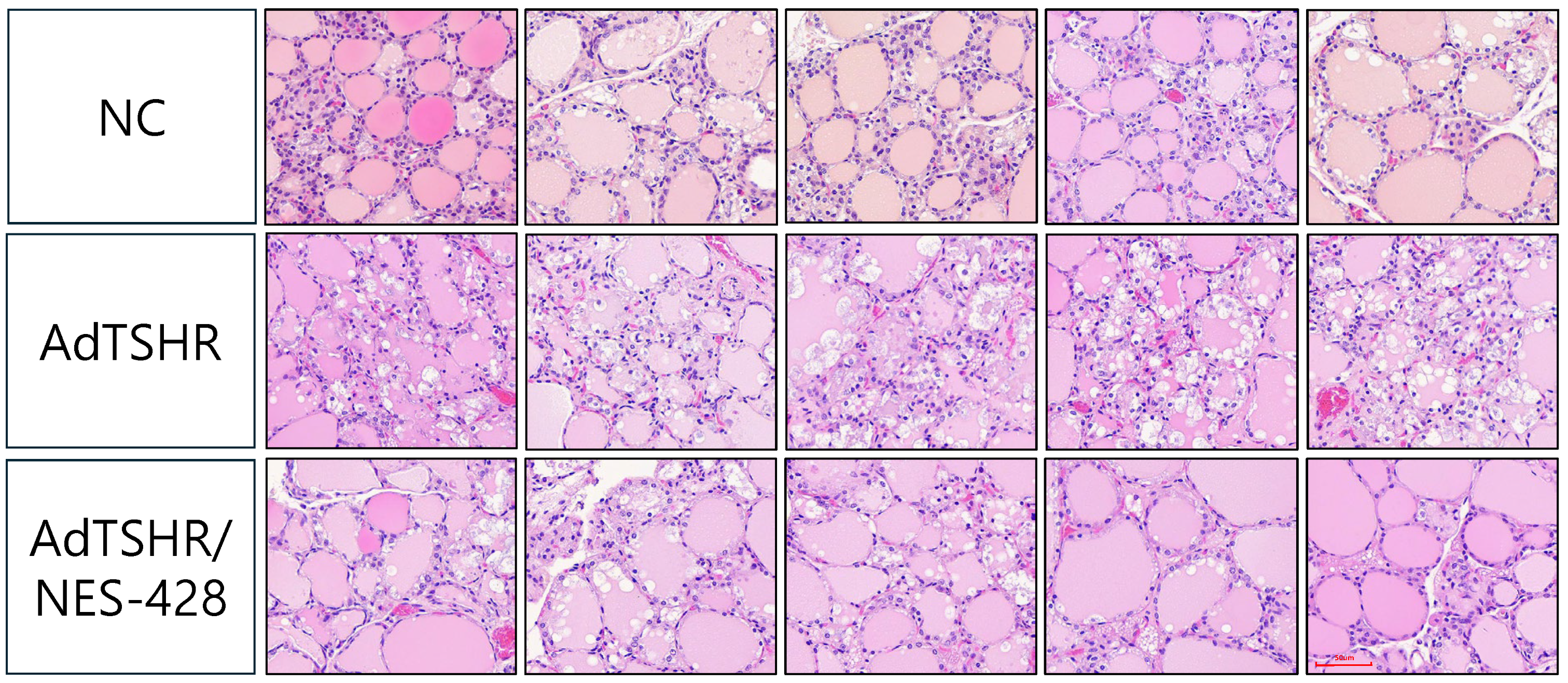 Nutrients 17 02967 g007