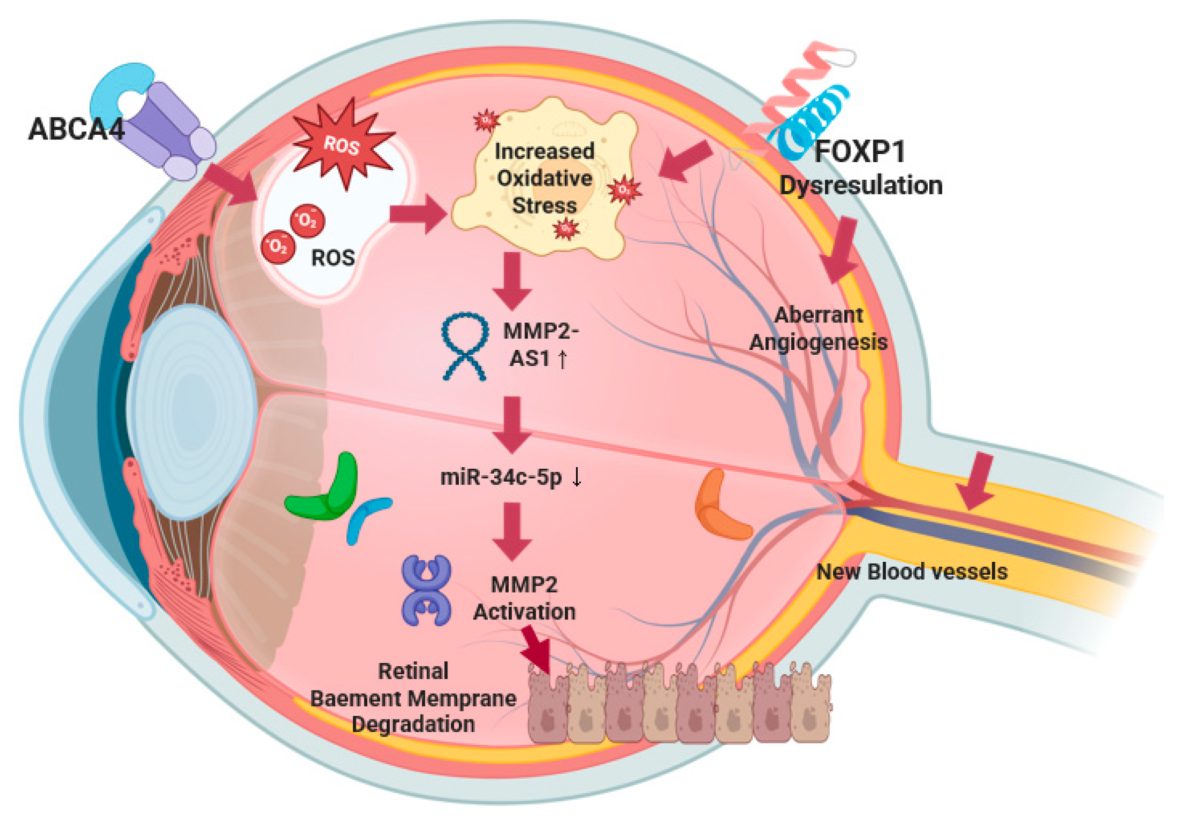Nutrients 17 02983 g005