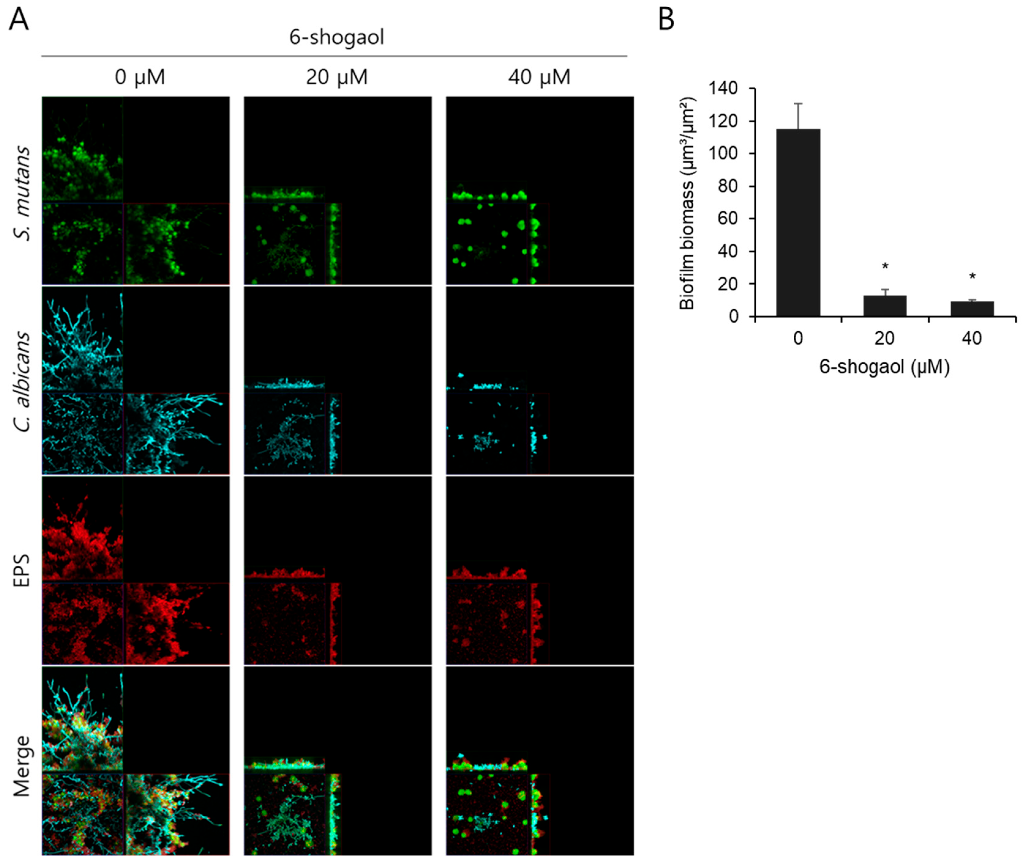 Nutrients 17 02999 g003