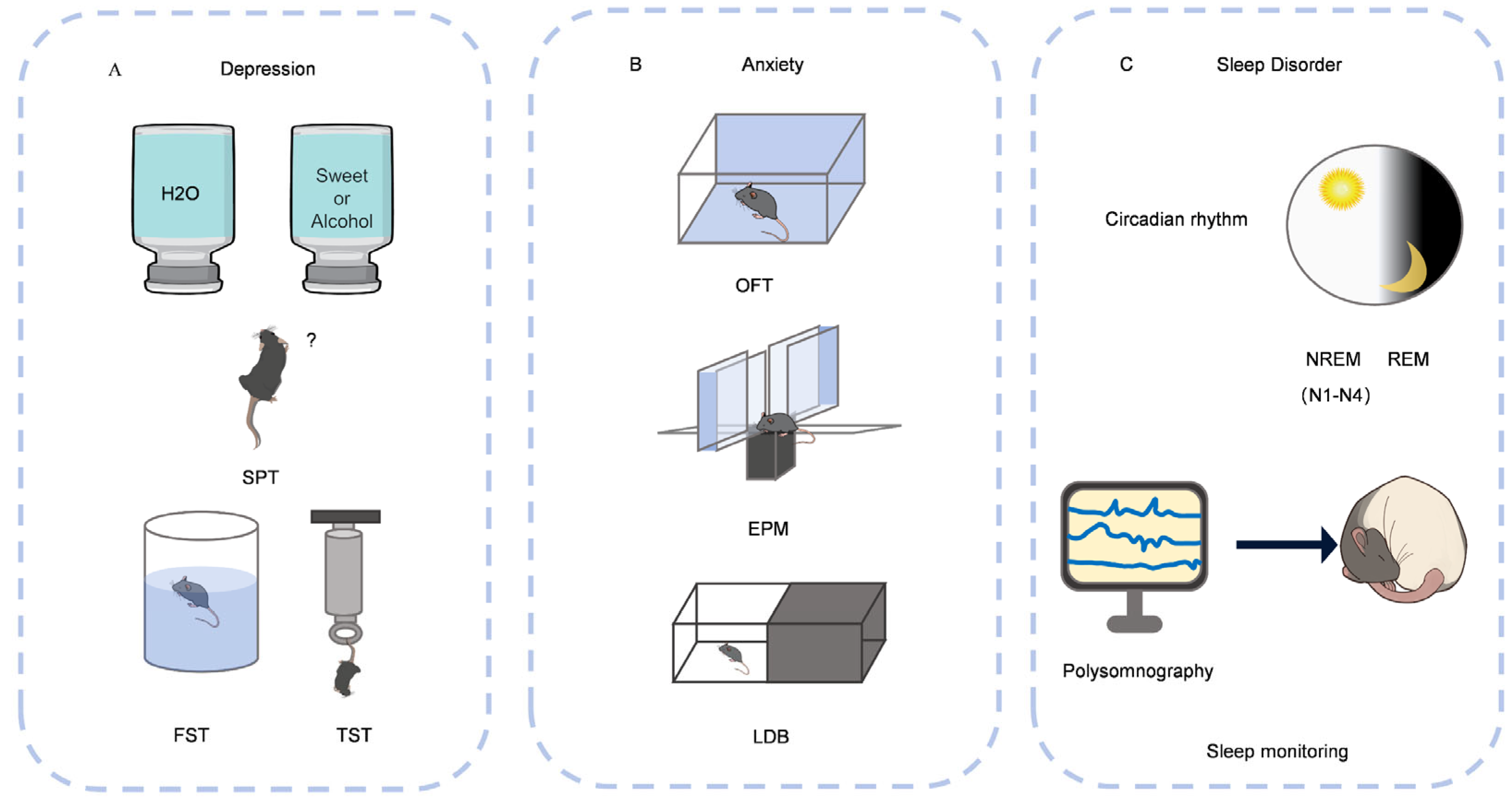 Nutrients 17 03037 g002