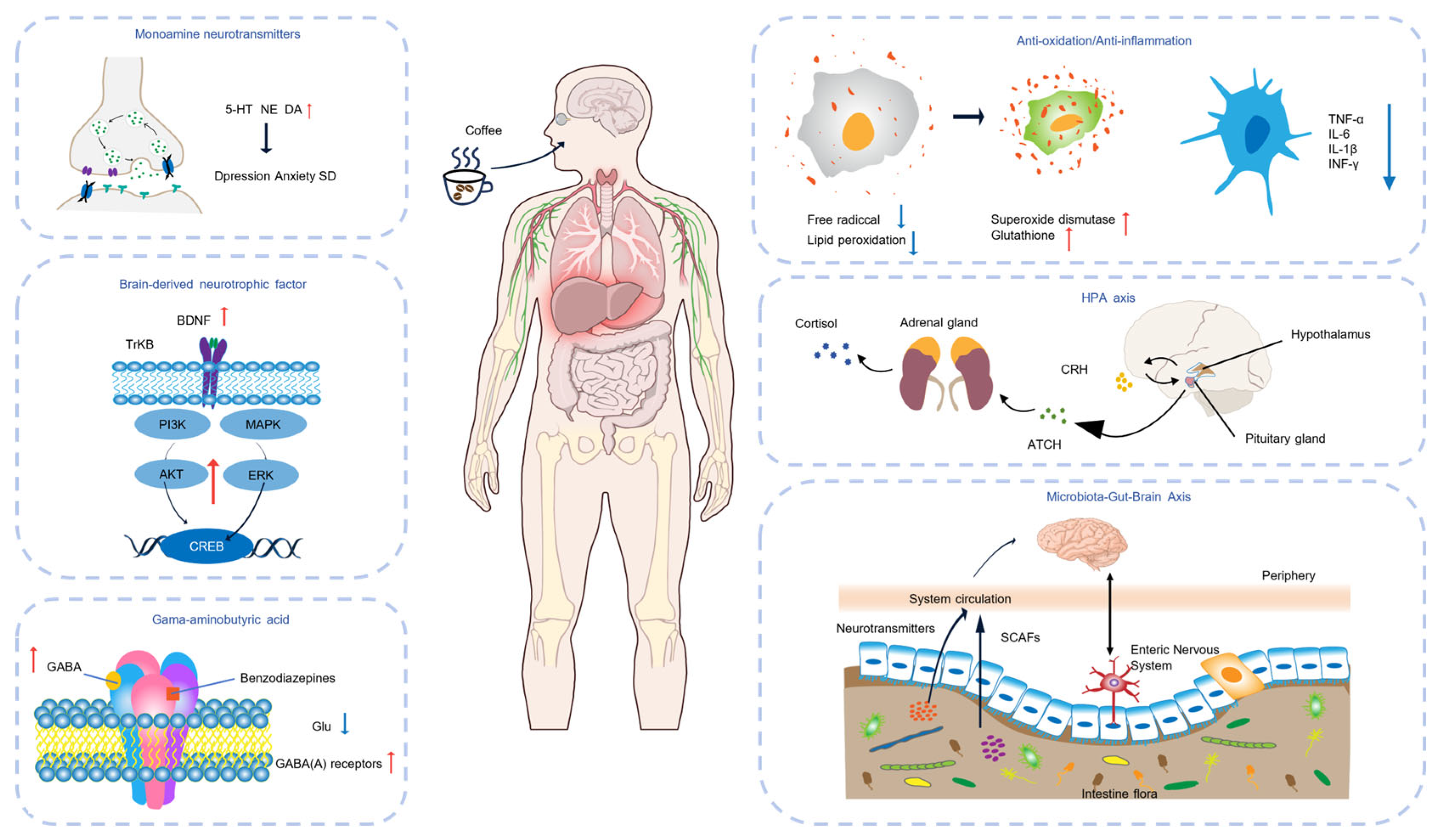 Nutrients 17 03037 g003