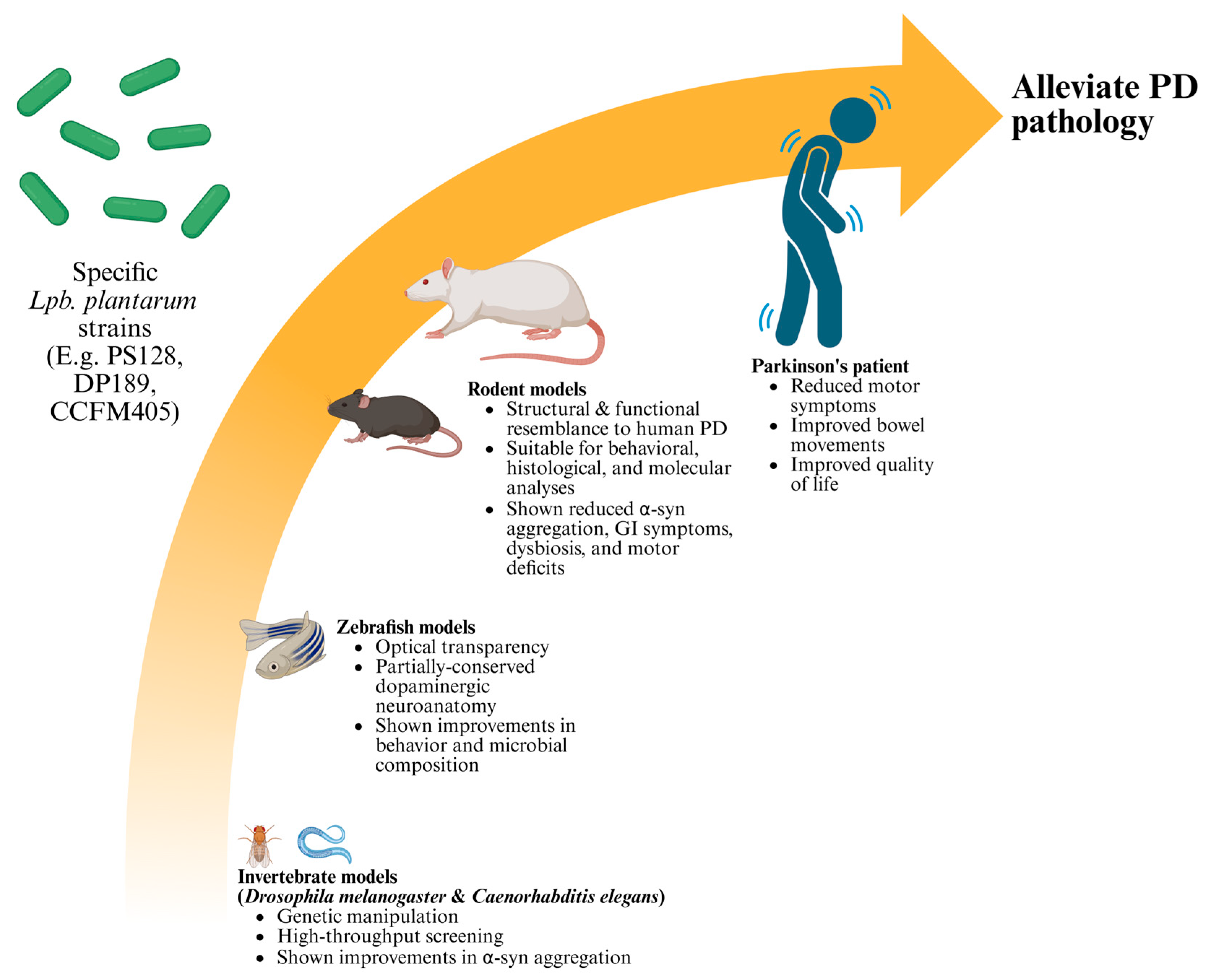 Nutrients 17 03047 g001